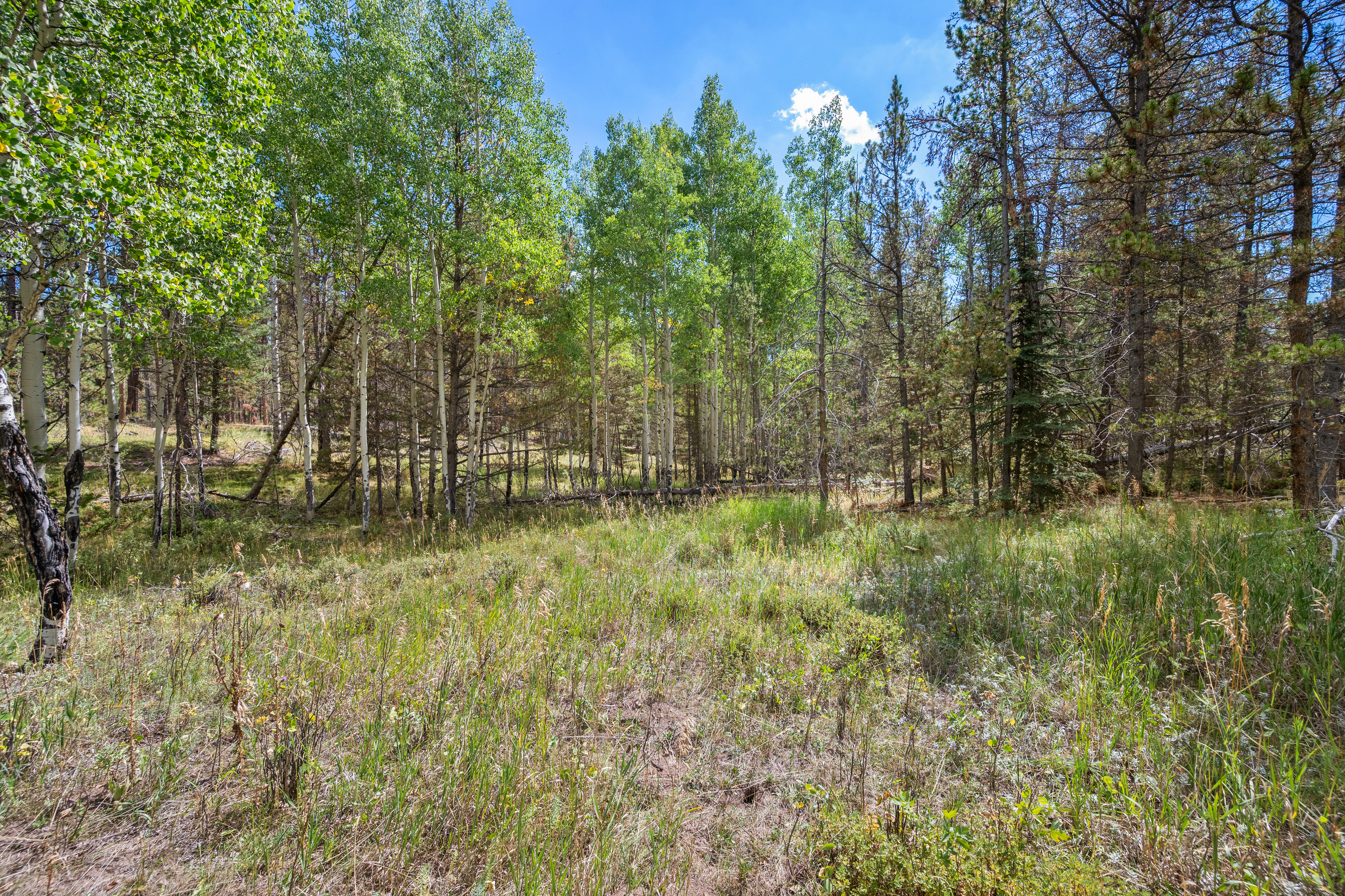  Peaceful Build-Ready Lot in Quiet Indian Springs Just 10 Min to 285 - 物件實景