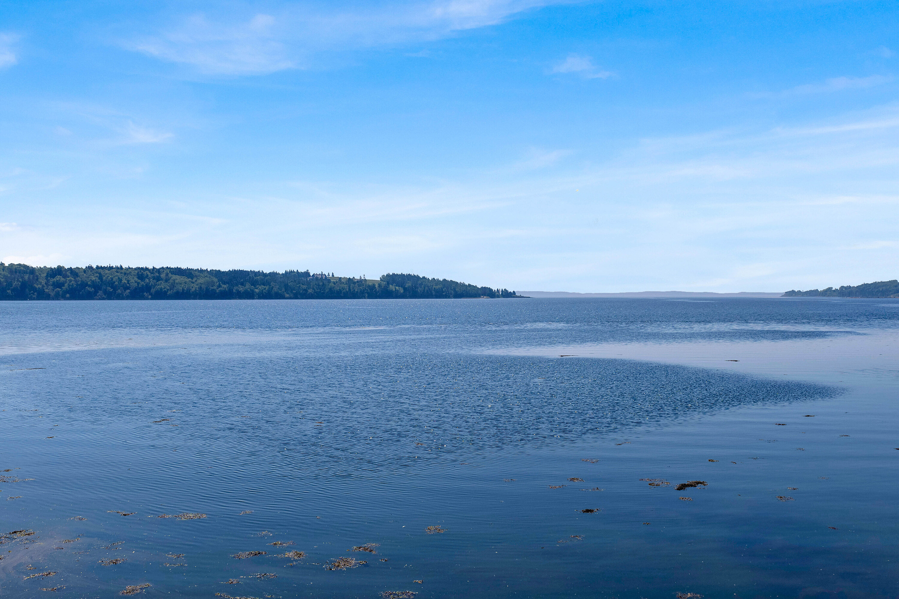  Chamcook, Charlotte County - 物件實景