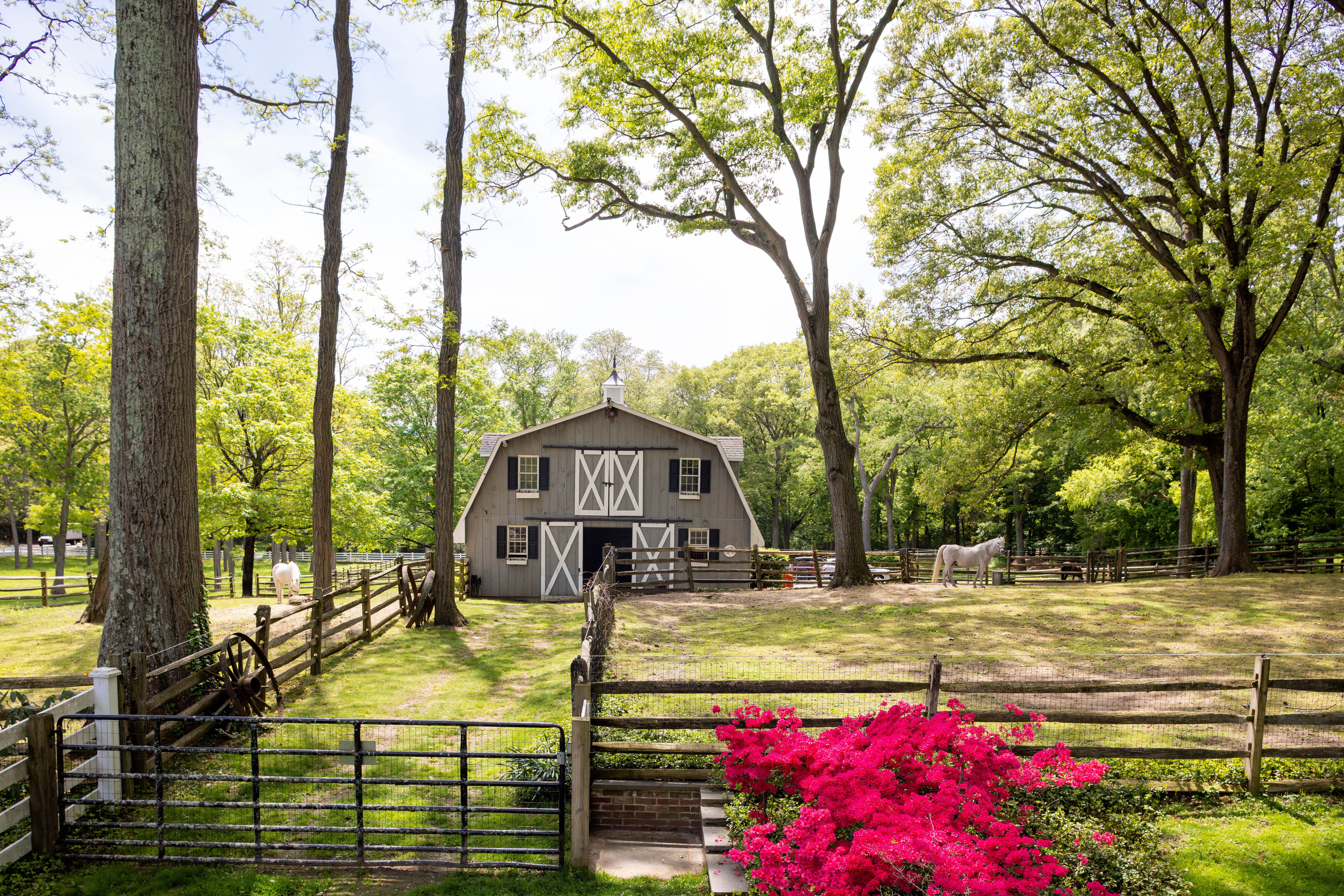  550 Chicken Valley Road, Locust Valley, NY, 11560 - 物件實景