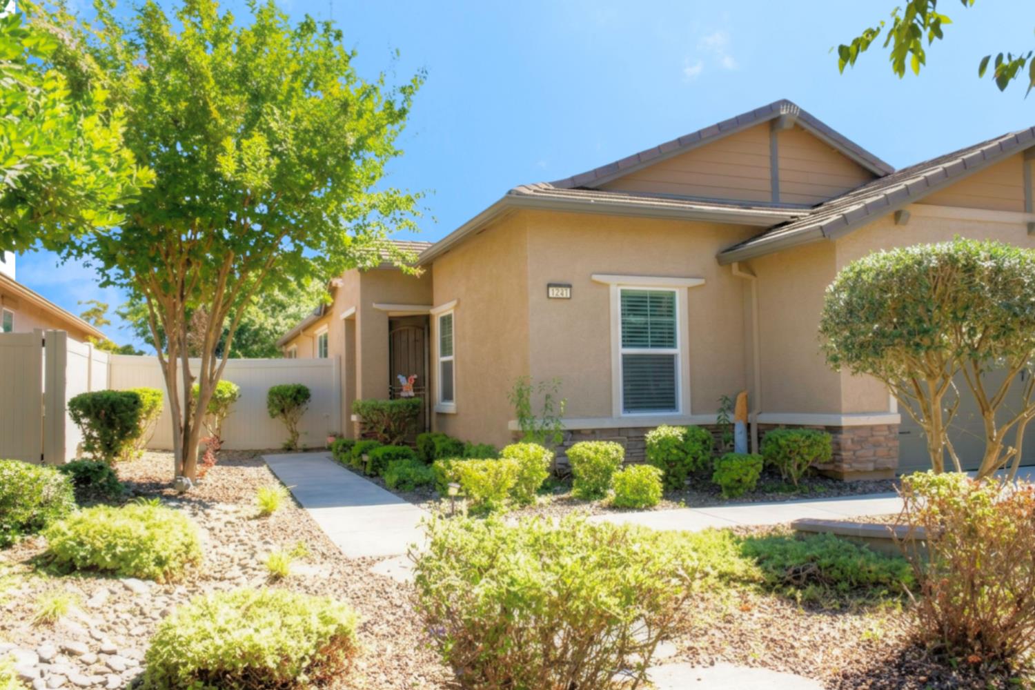 Shady Pines St, Manteca, CA 95336 #1