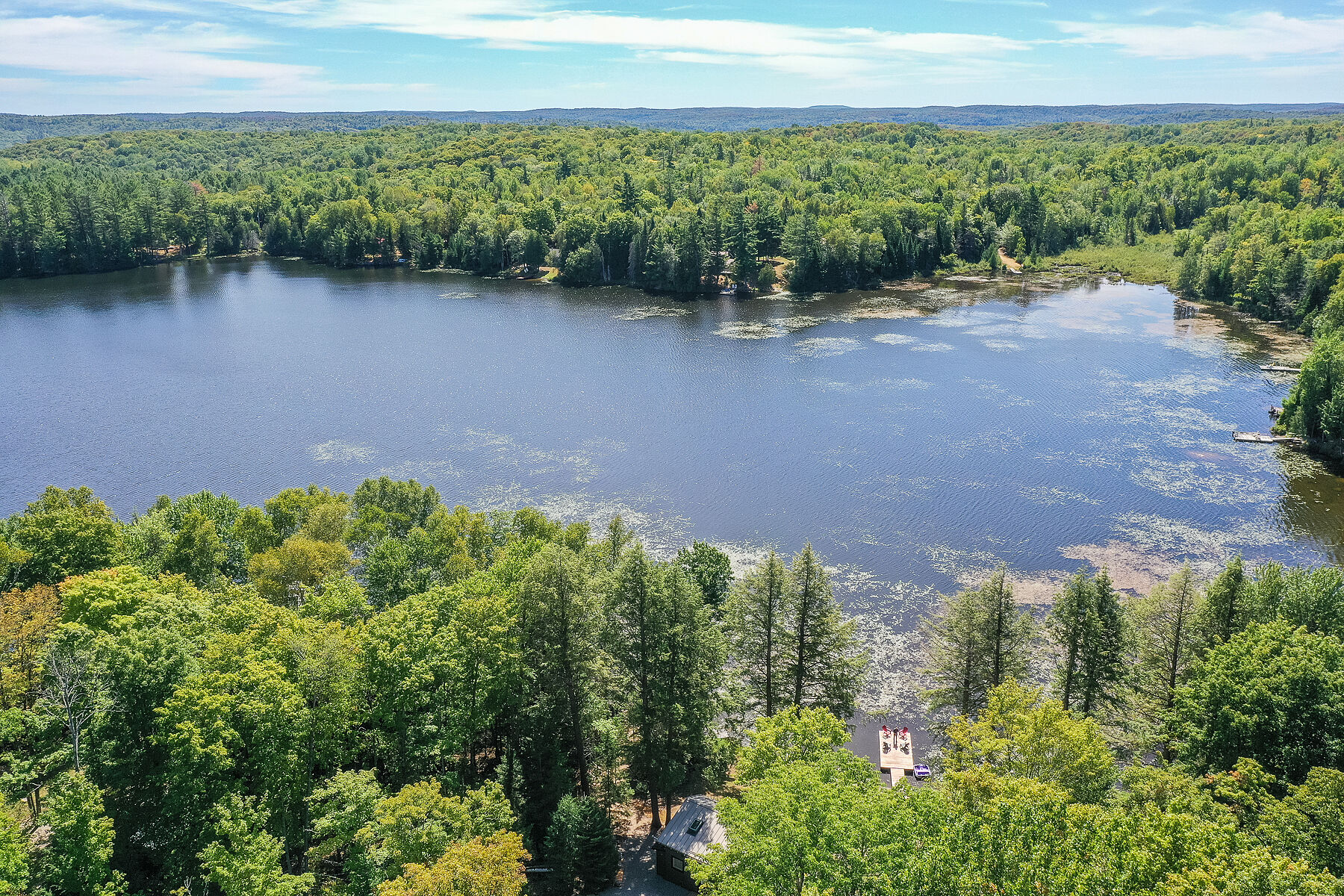  Quiet Cottage on Boyne Lake - 物件實景