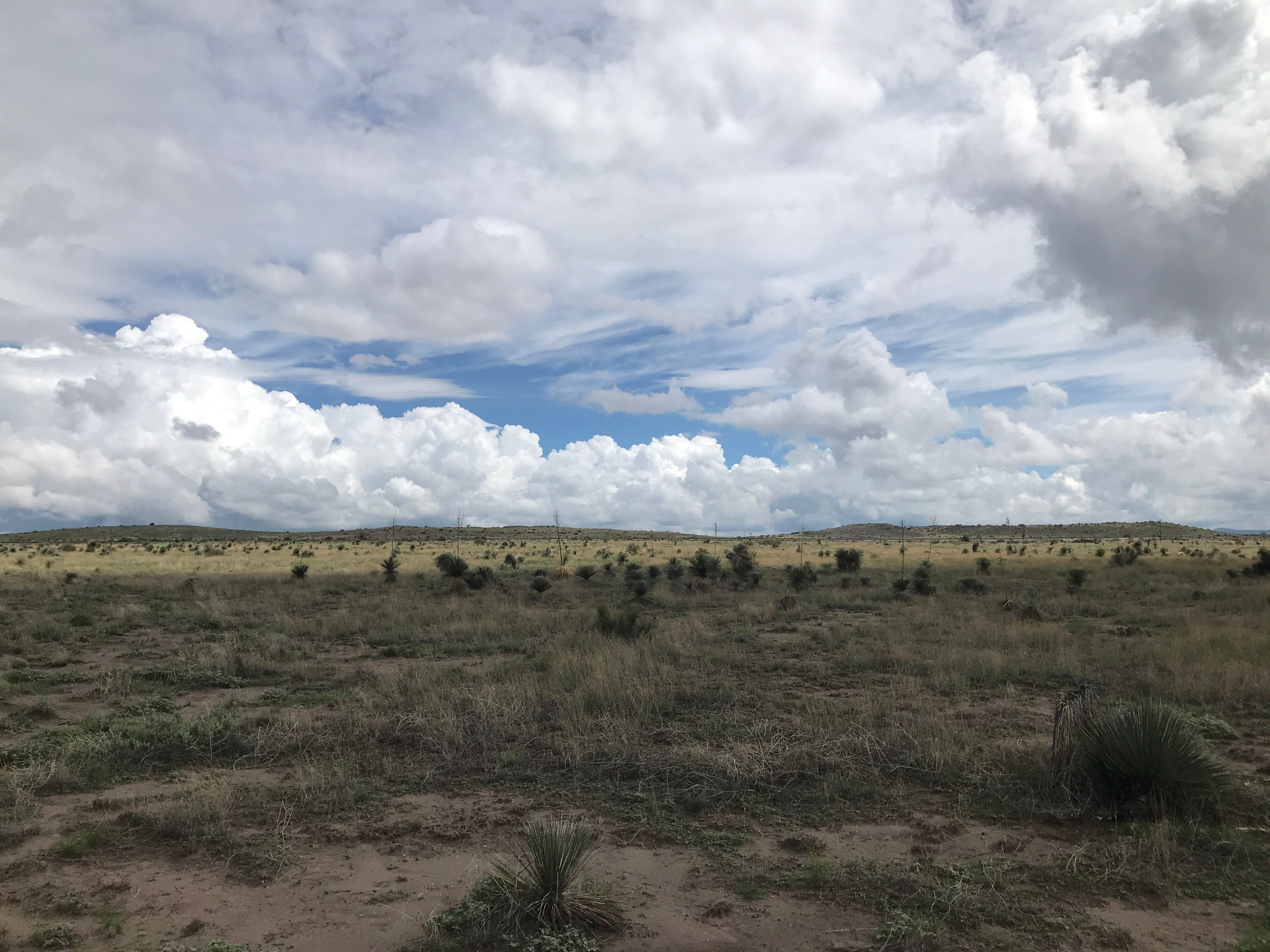  18311 Hwy 90, Marfa, TX 79843 - 物件實景