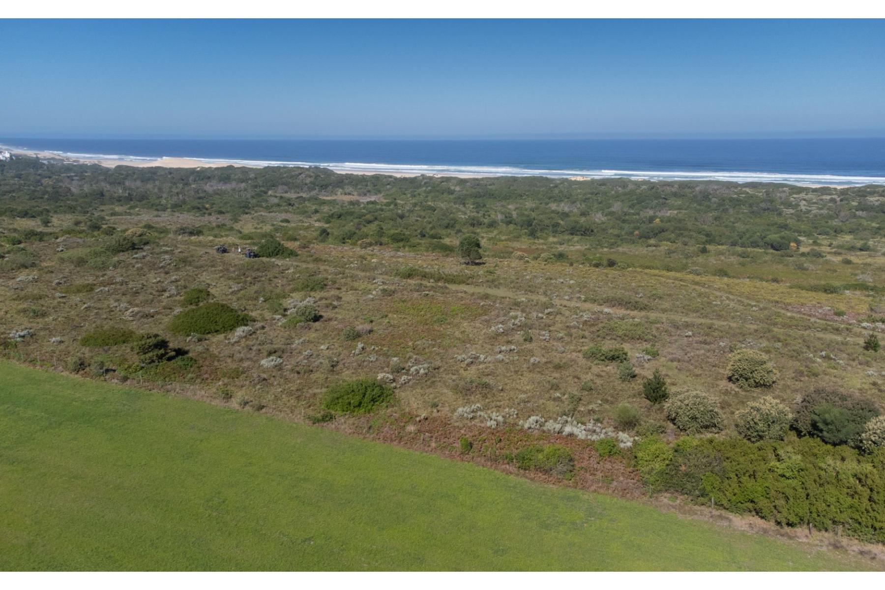  OYSTER BAY DEVELOPMENT LAND FOR SALE - 物件實景