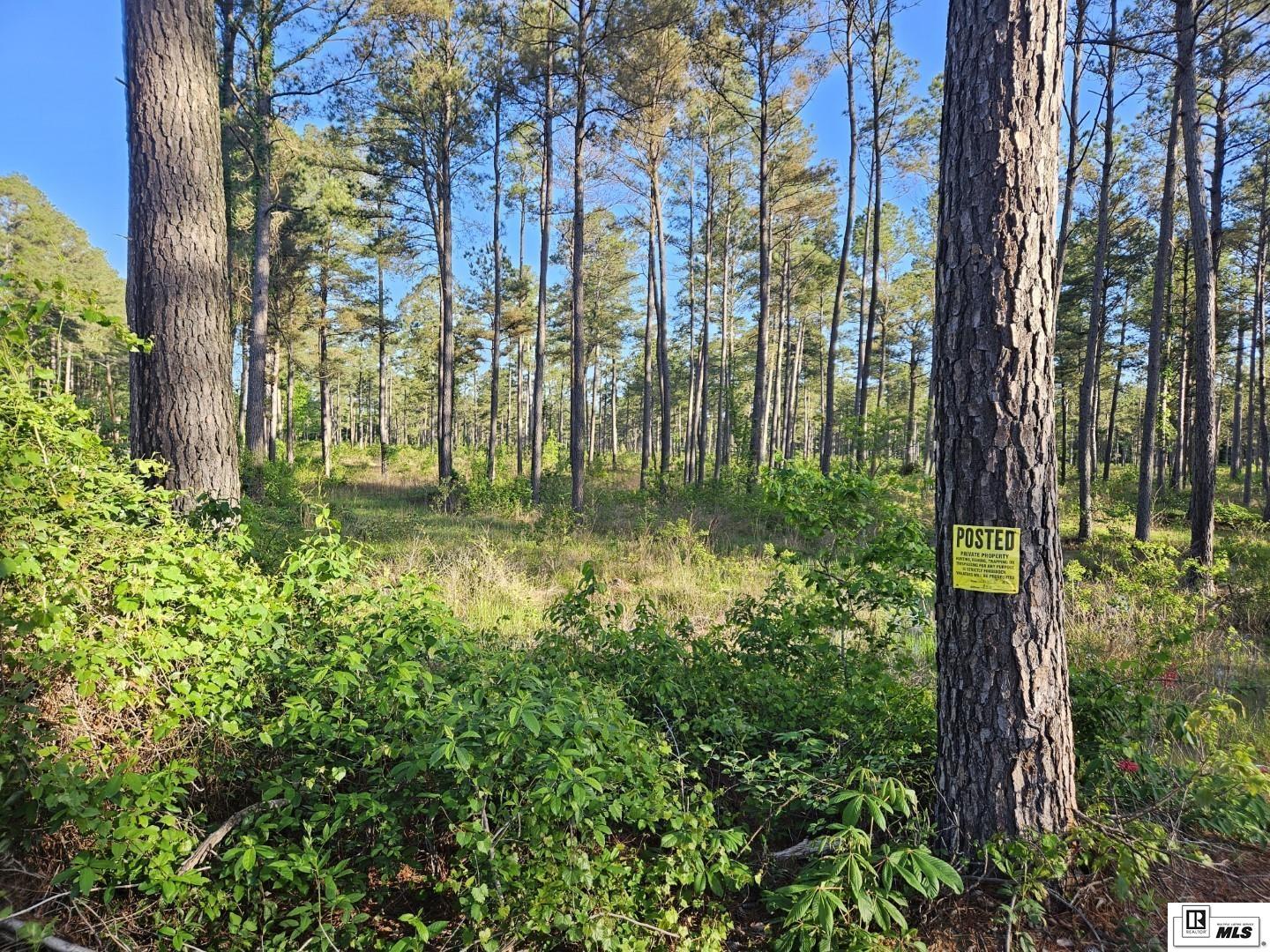 00 HIGHWAY 143, West Monroe, Louisiana, 71291, United States, ,Land,For Sale,00 HIGHWAY 143,1620835