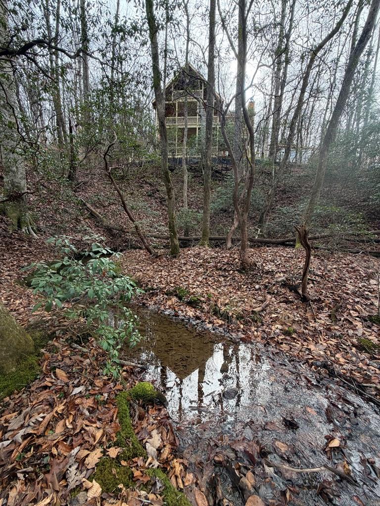 Blue Ridge, Georgia, 30513, United States, 3 Bedrooms Bedrooms, ,3 BathroomsBathrooms,Residential,For Sale,1995238