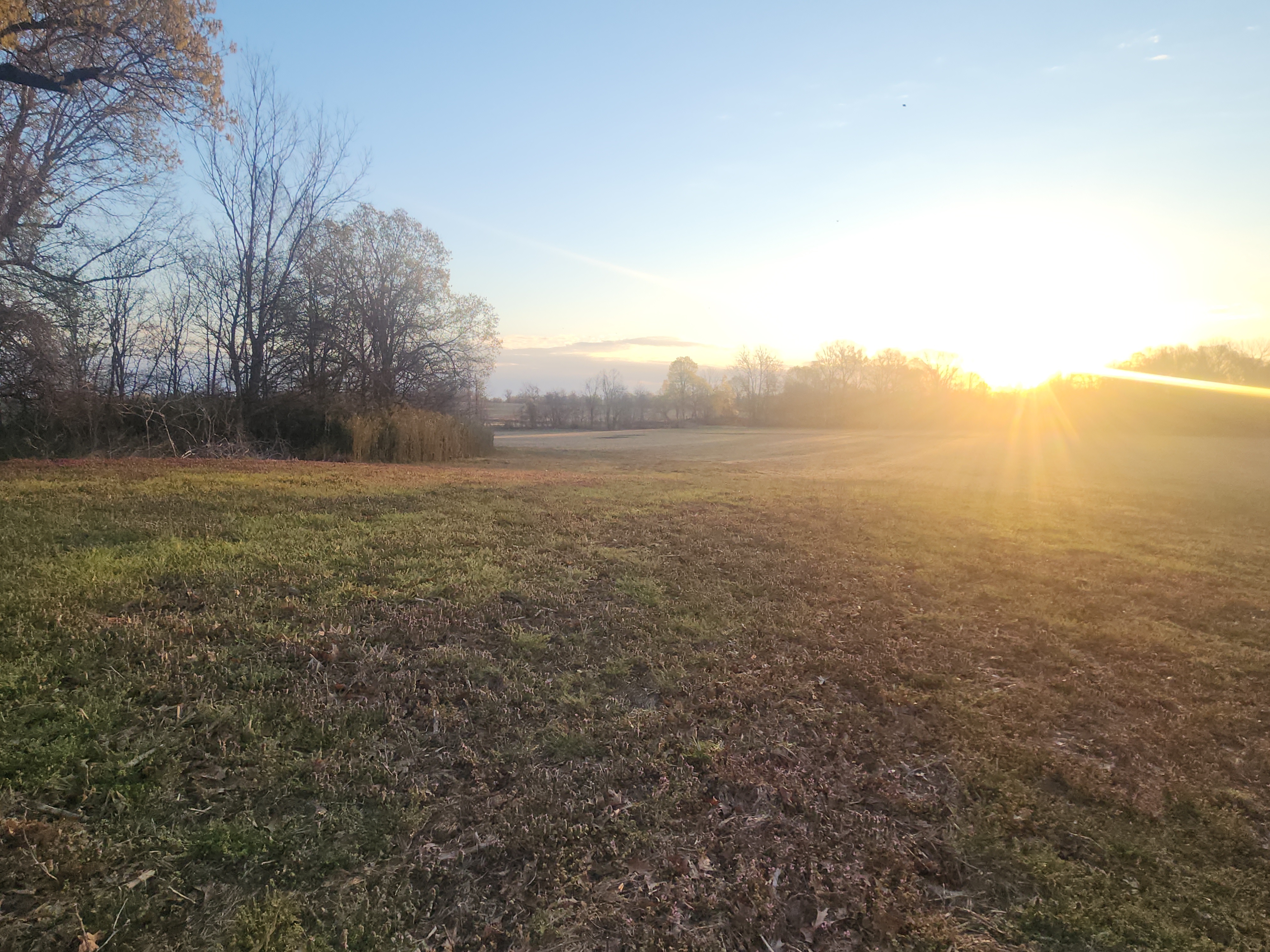 Union City, Tennessee, 38261, United States, ,Land,For Sale,1982811