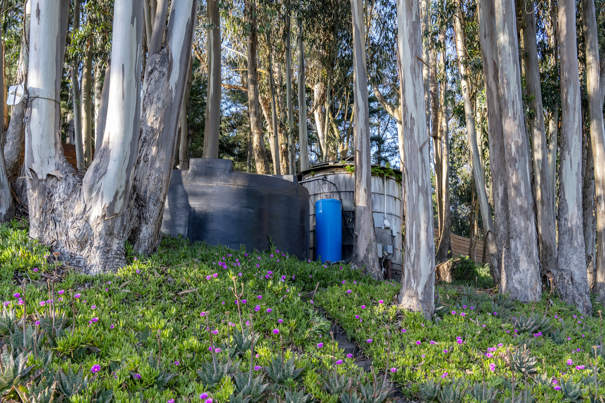  2570 Purissima Creek Rd, Half Moon Bay - 物件實景