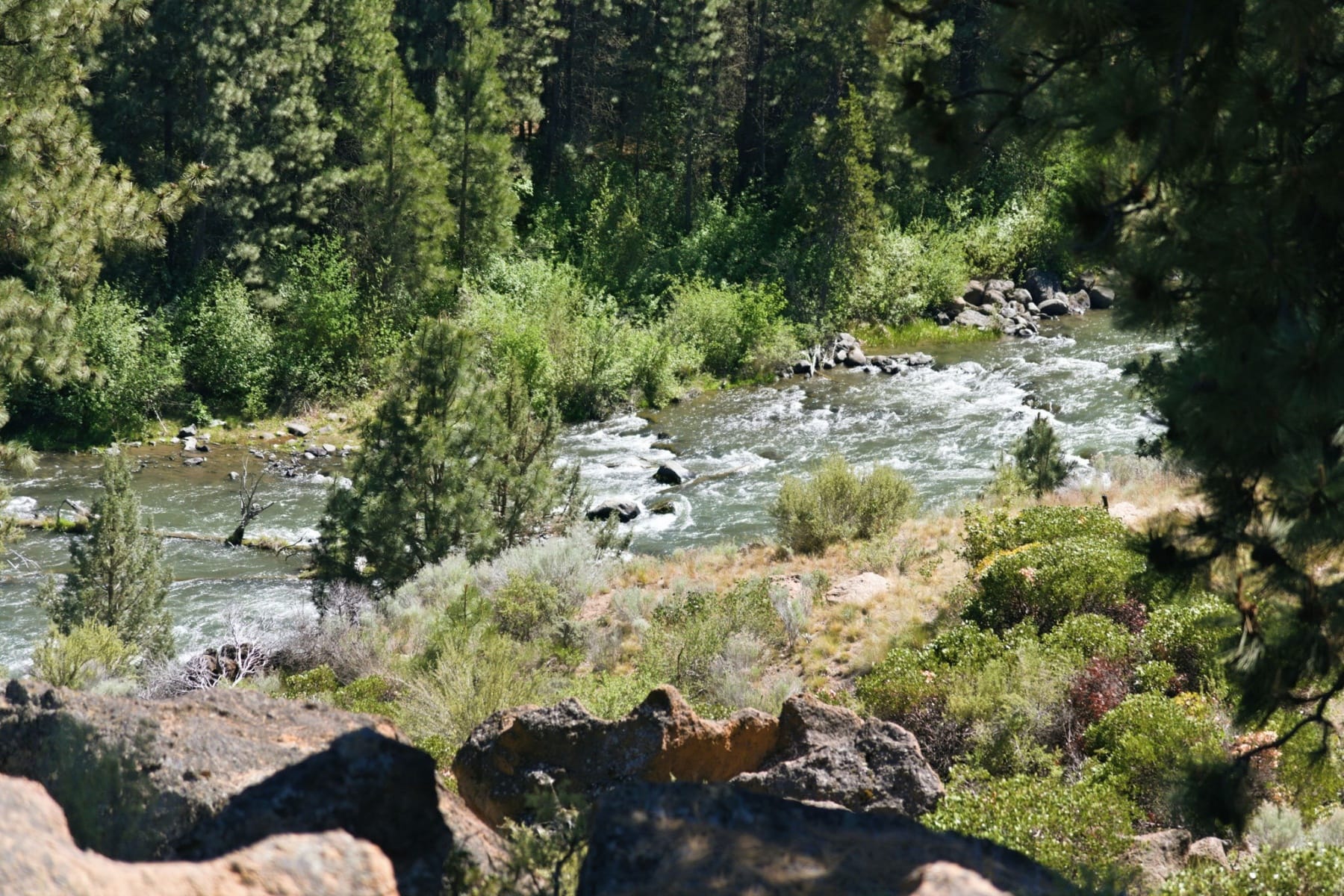  19717 SW Mount Bachelor Drive #UNIT 313 Bend, OR 97702 - 物件實景