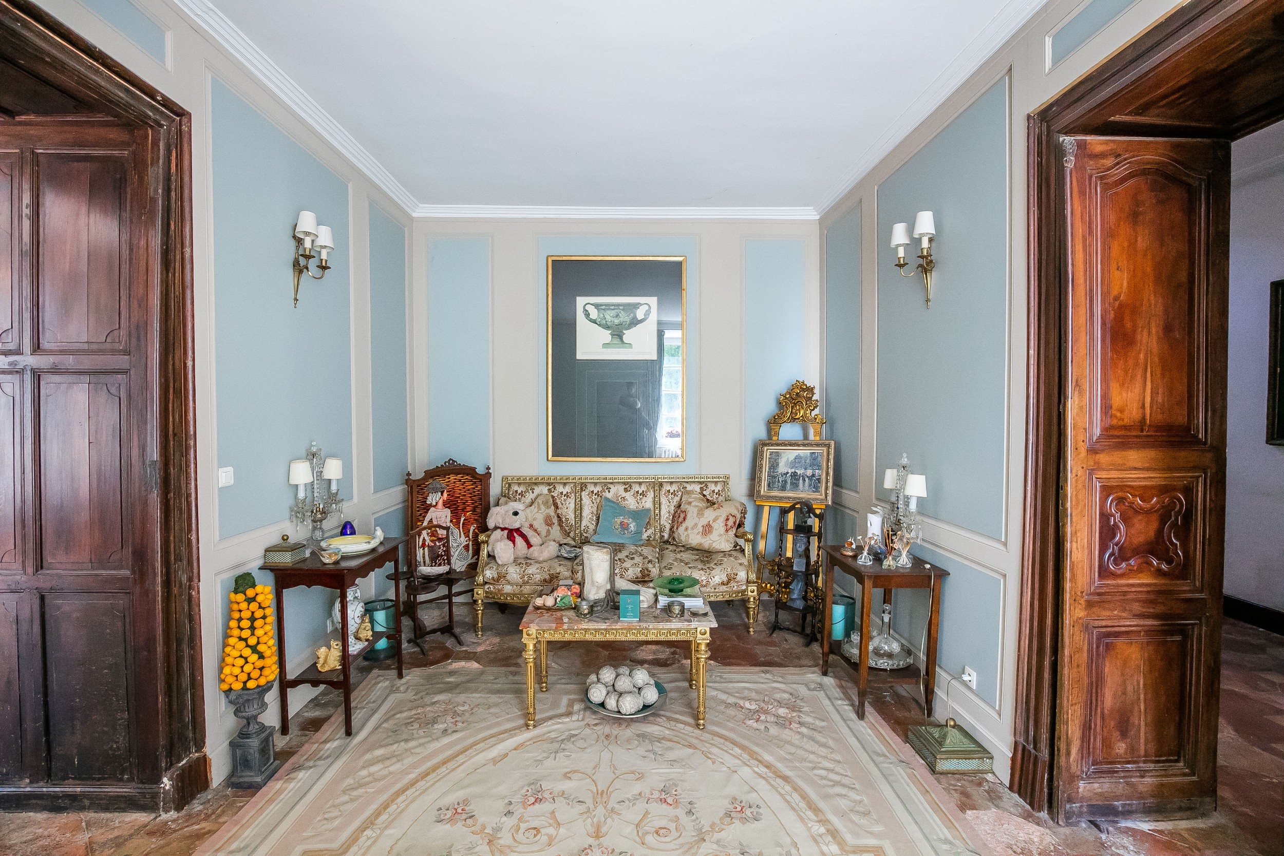  Very nice estate with chateau and outbuildings - 物件實景