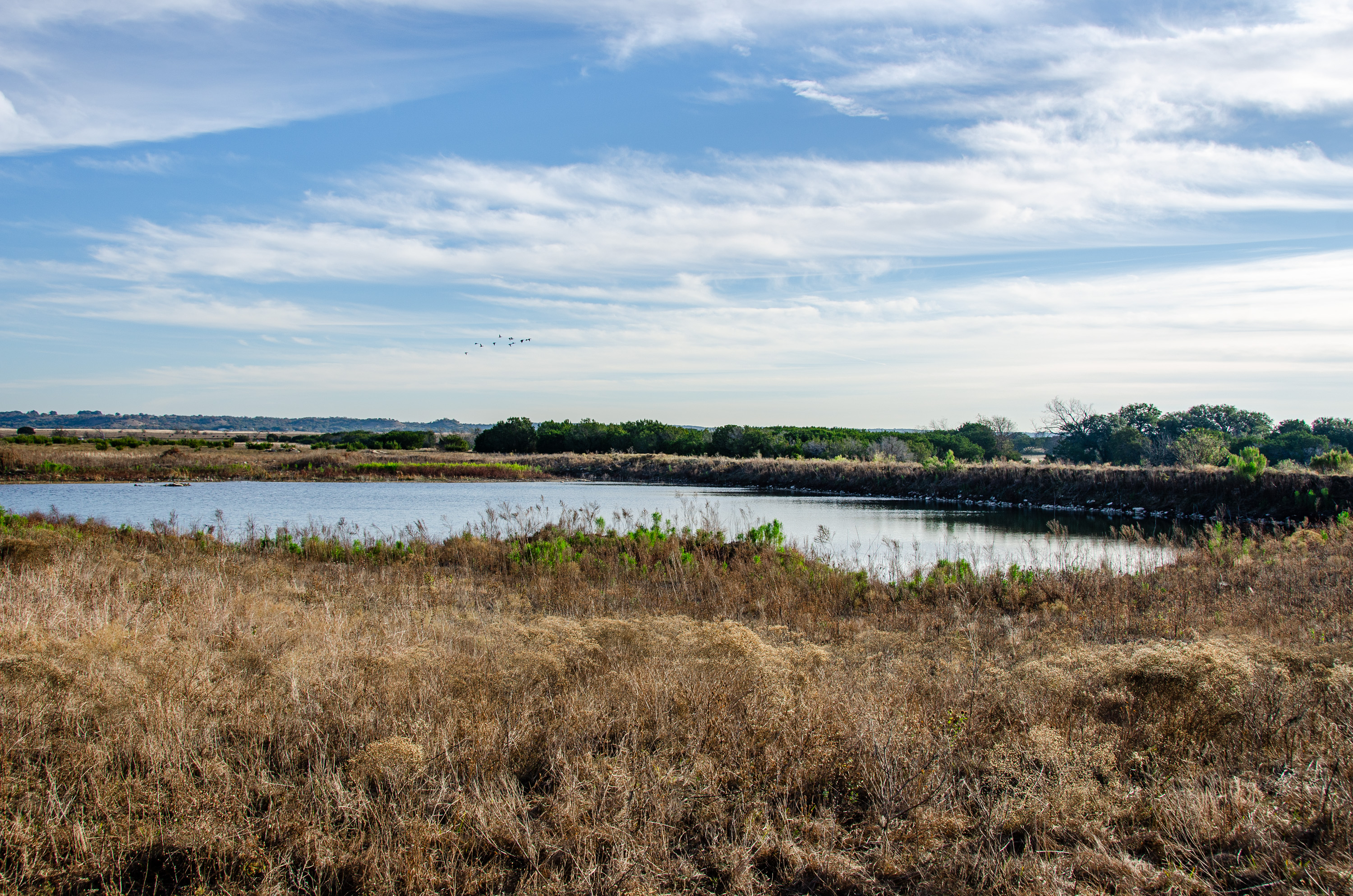  Duck Haven Ranch - 物件實景