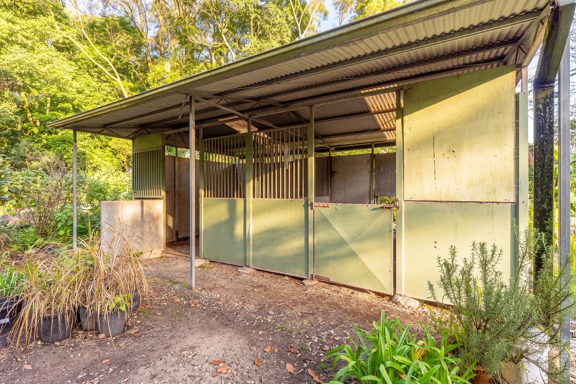  19 Myoora Road, Terrey Hills - 物件實景