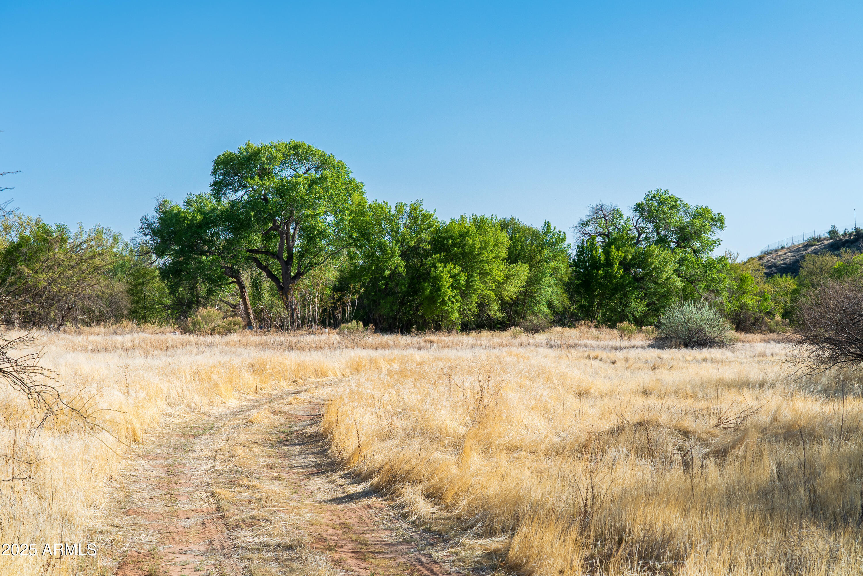 Cornville, Arizona, 86325, United States, ,Land,For Sale,1947959