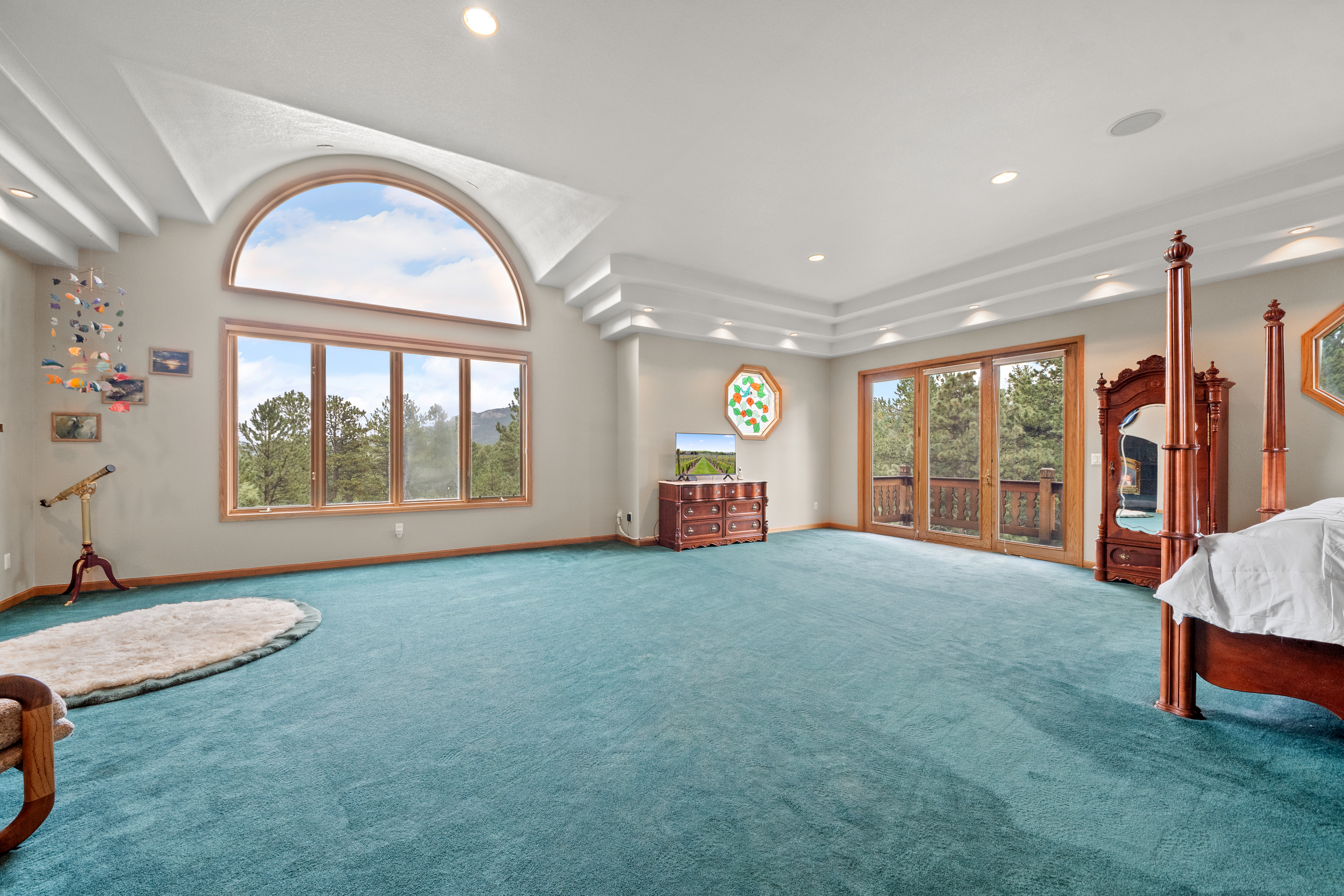  Perfect Blend of Space and Colorado Living That Backs to Pike National Forest - 物件實景