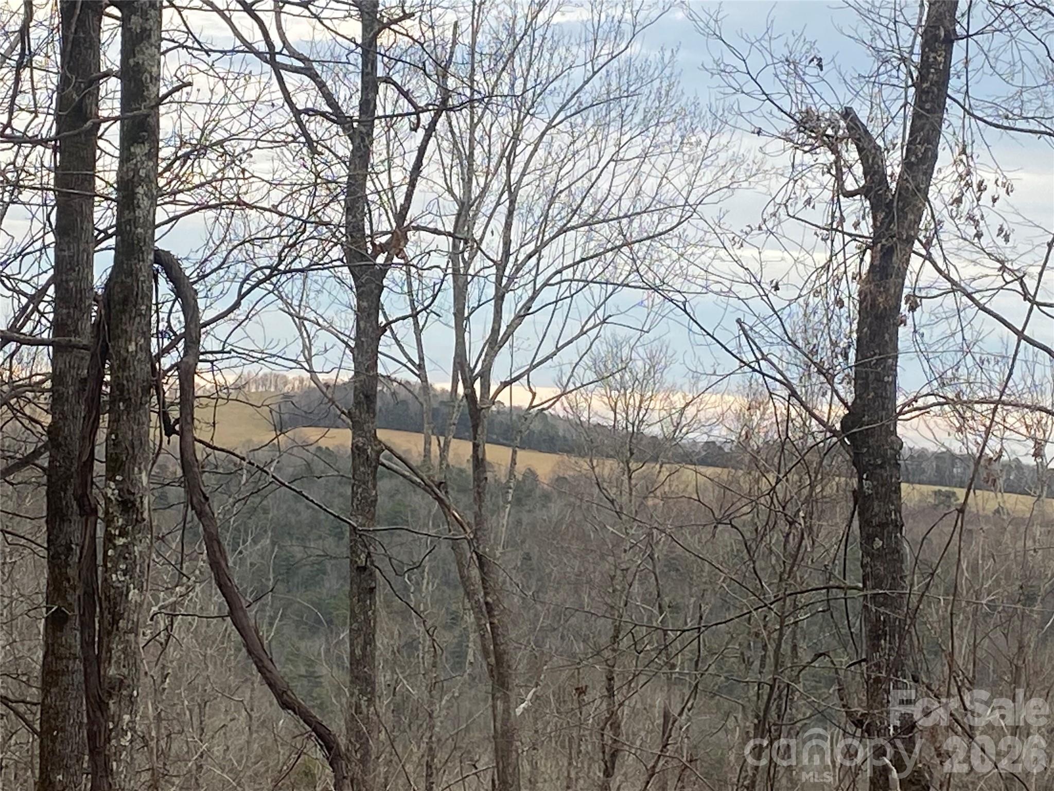 Hendersonville, North Carolina, 28792, United States, ,Land,For Sale,2010421