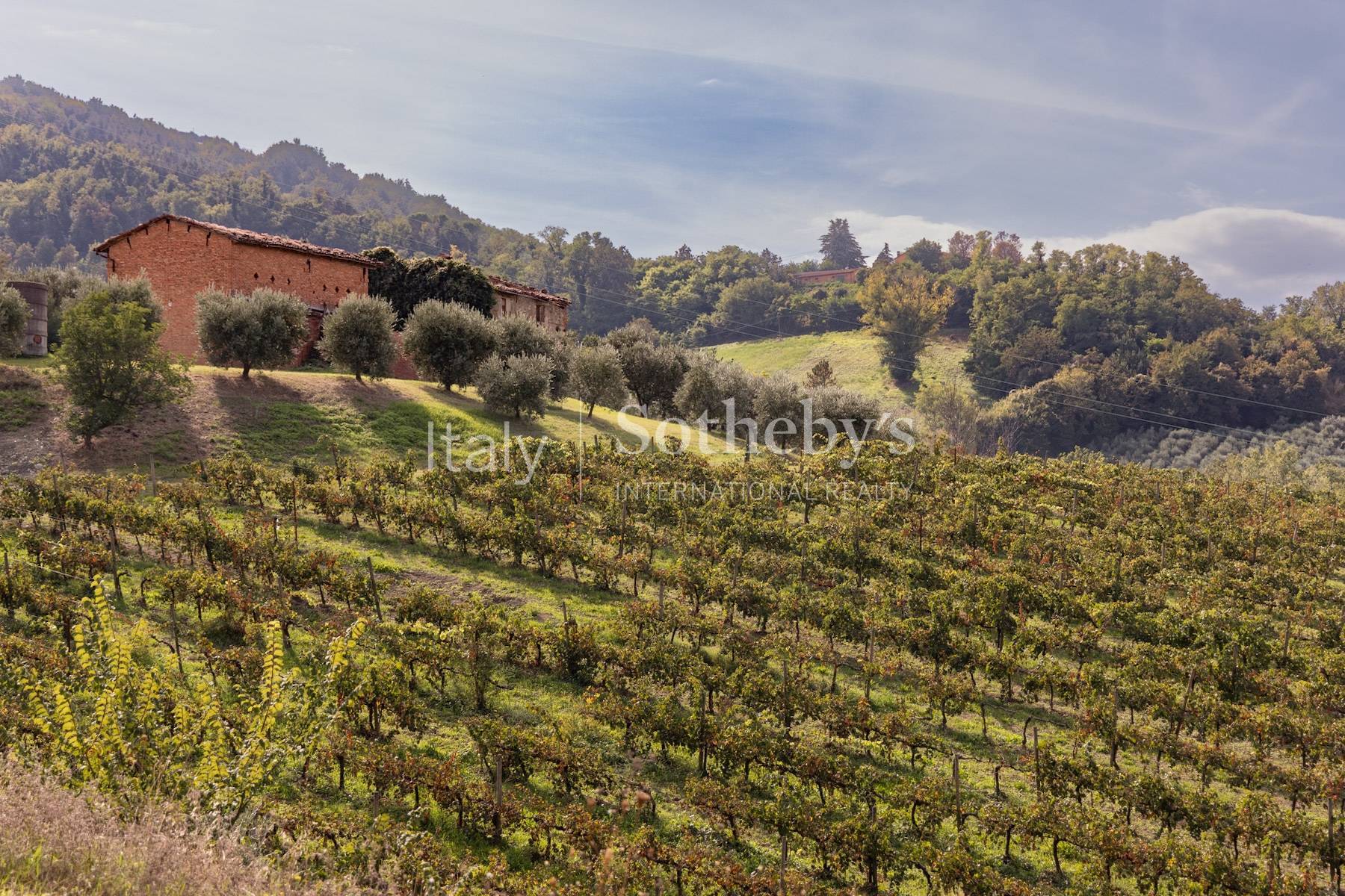  Enchanting agricultural and wine estate on the hills of Romagna - 物件實景