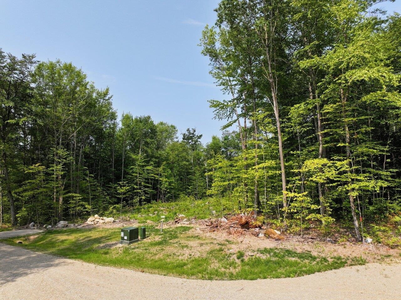 Leicester, Vermont, 05733, United States, ,Land,For Sale,1916983