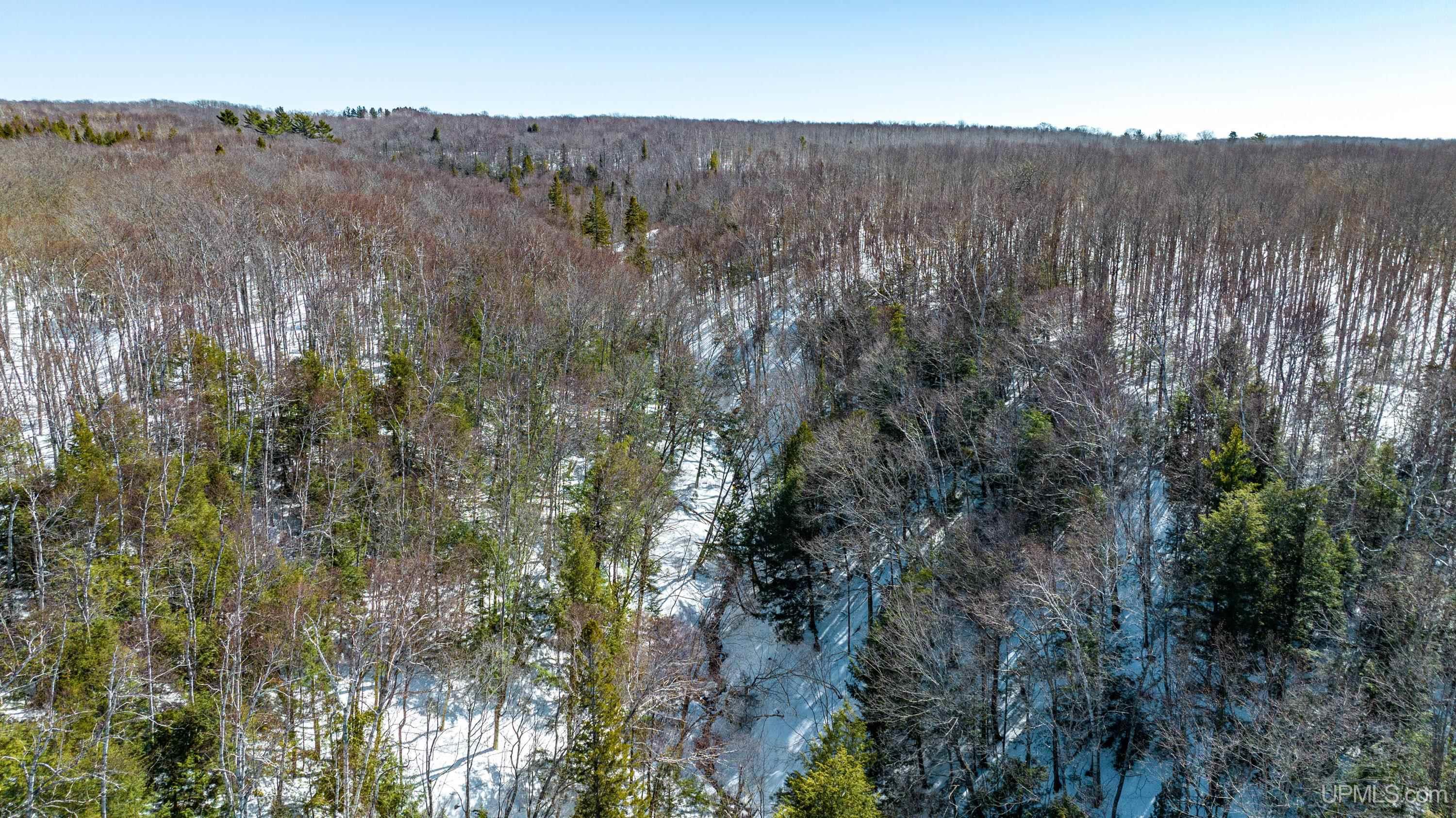 Atlantic Mine, Michigan, 49905, United States, ,Residential,For Sale,1881527