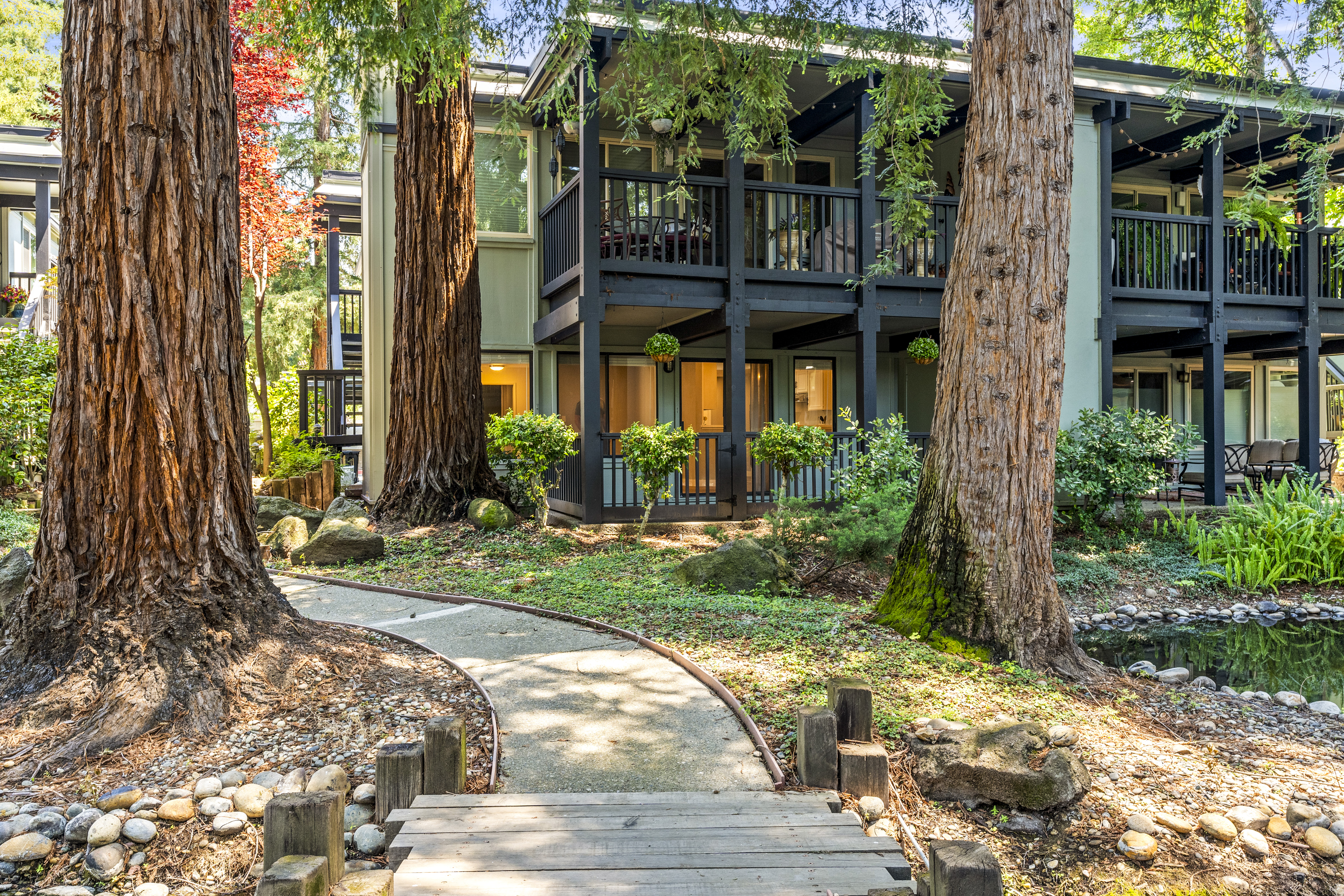  Tranquil Westside Danville Condominium Surrounded by Majestic Redwoods - 物件實景