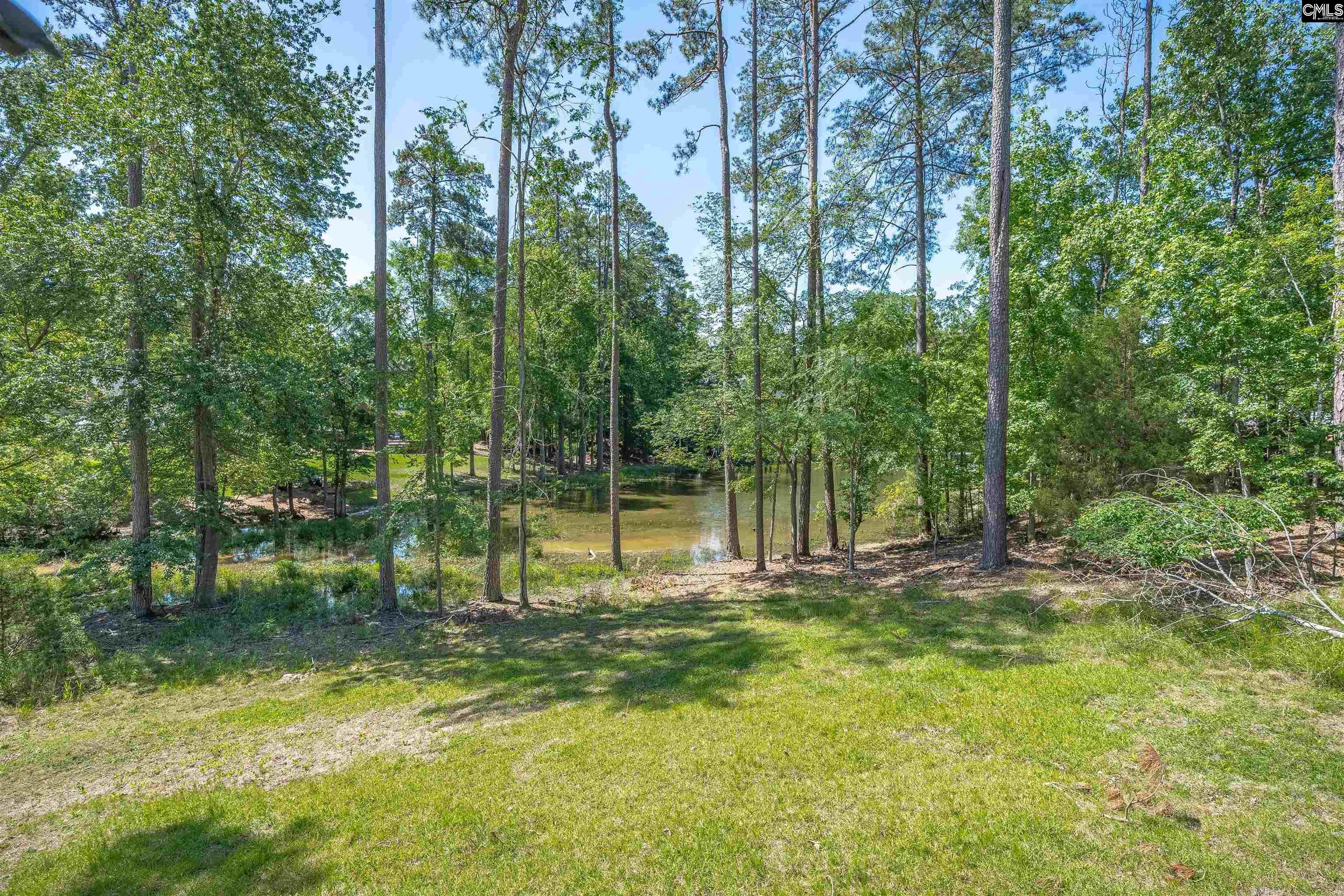 Chapin, South Carolina, 29036, United States, 3 Bedrooms Bedrooms, ,3 BathroomsBathrooms,Residential,For Sale,1804271