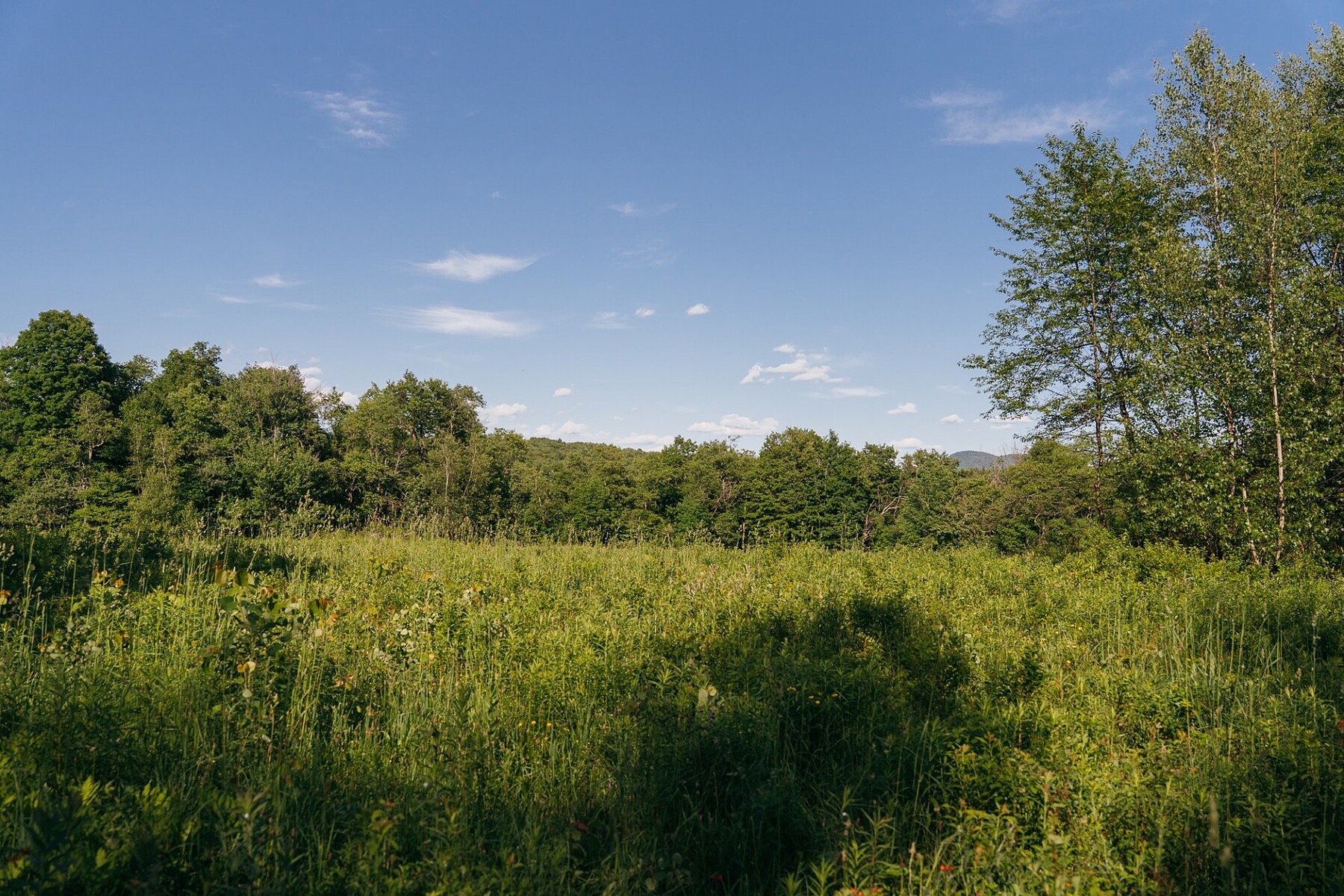  Sutton, Eastern Townships - 物件實景