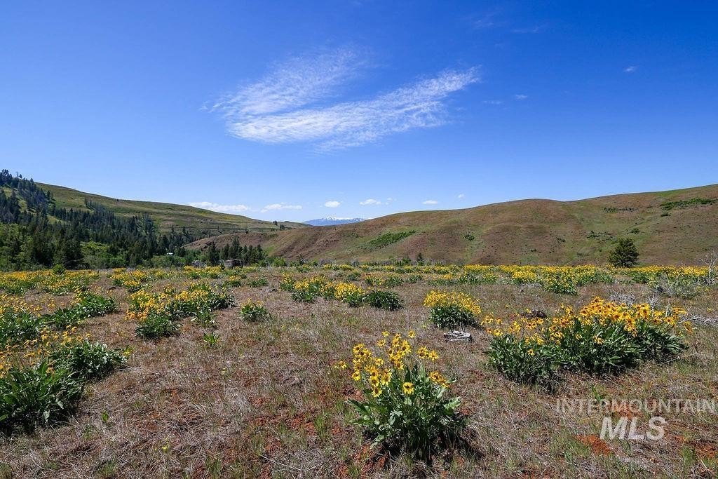 Council, Idaho, 83612, United States, ,Residential,For Sale,1862004