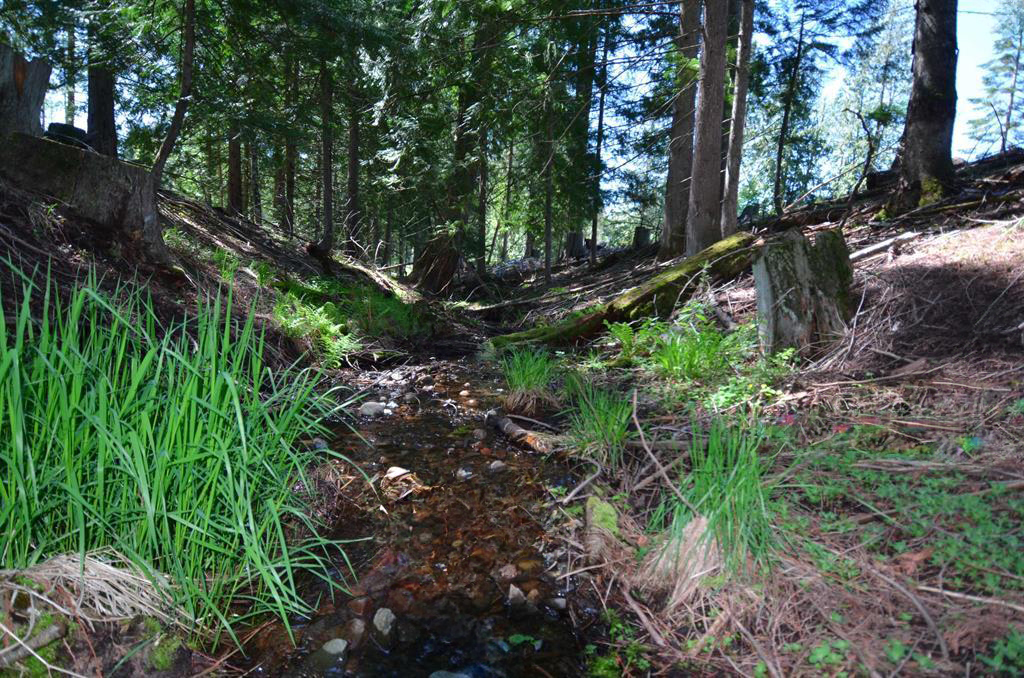 Sagle, Idaho, 83860, United States, ,Land,For Sale,1980438