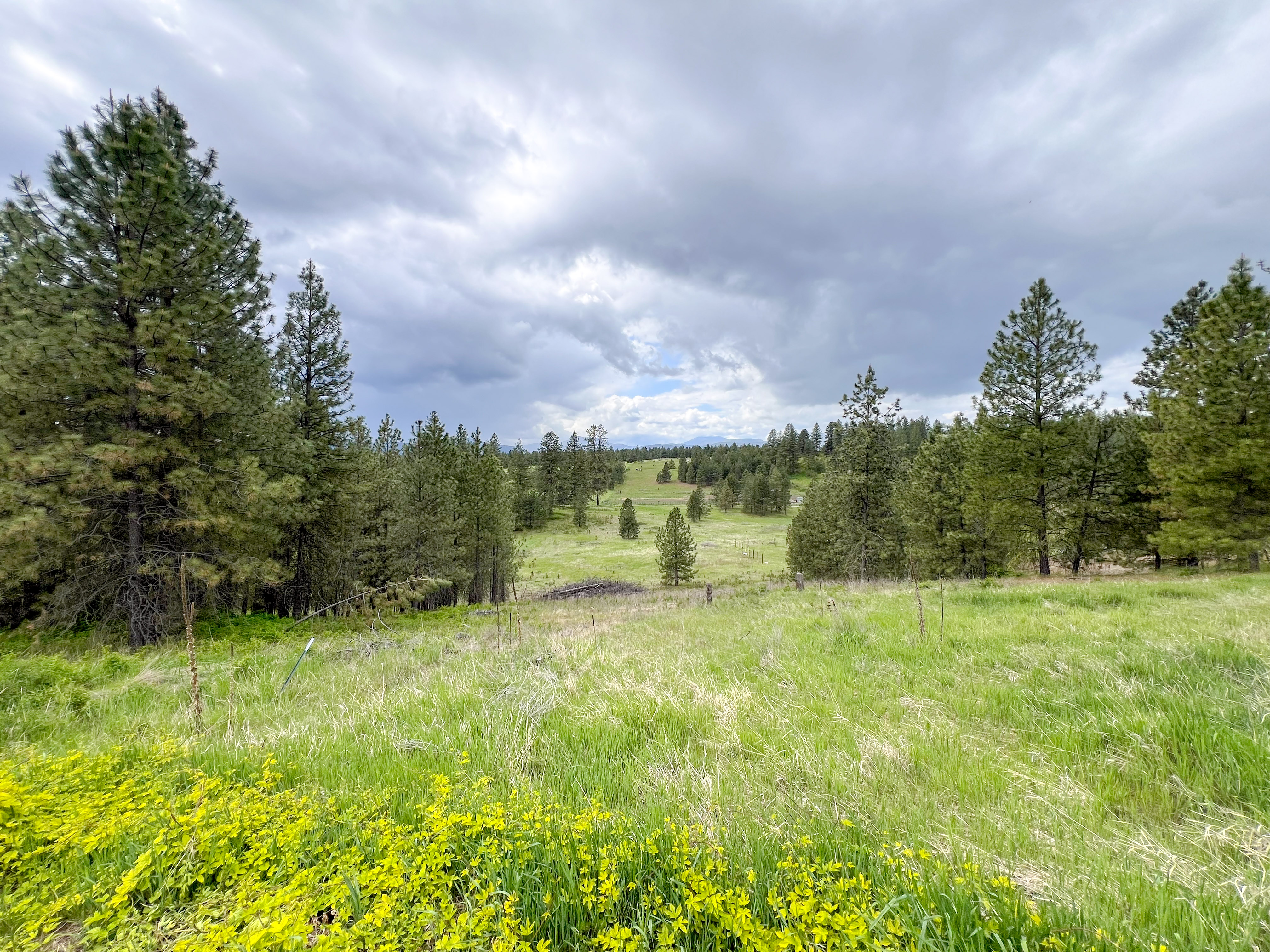 Rice, Washington, 99167, United States, 5 Bedrooms Bedrooms, ,3 BathroomsBathrooms,Residential,For Sale,1881198