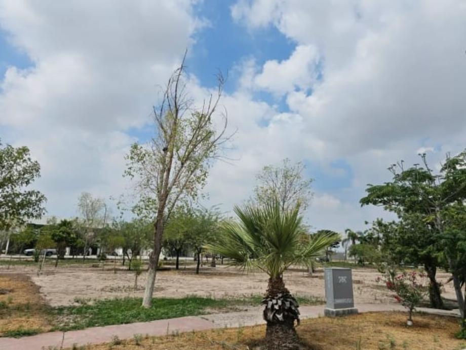 CAMPANARIO, Torreón, Coahuila de Zaragoza, 27107, Mexico, 1 Bedroom Bedrooms, ,Residential,For Sale,CAMPANARIO,1573230