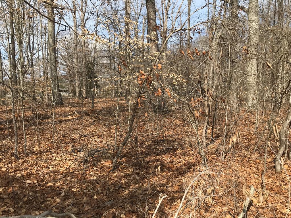 White Pine, Tennessee, 37890, United States, ,Residential,For Sale,1887225