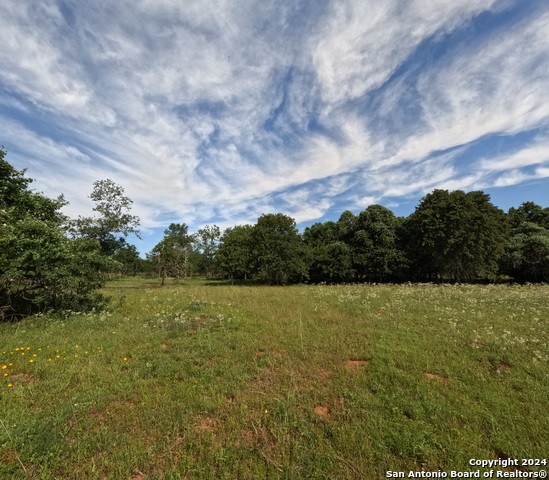 9912 Fm 1681, Nixon, Texas, 78140, United States, ,Residential,For Sale,9912 Fm 1681,1408961