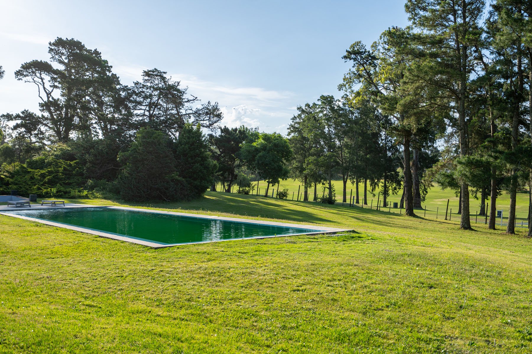  Spectacular house for sale in Golf, Punta del Este - 物件實景