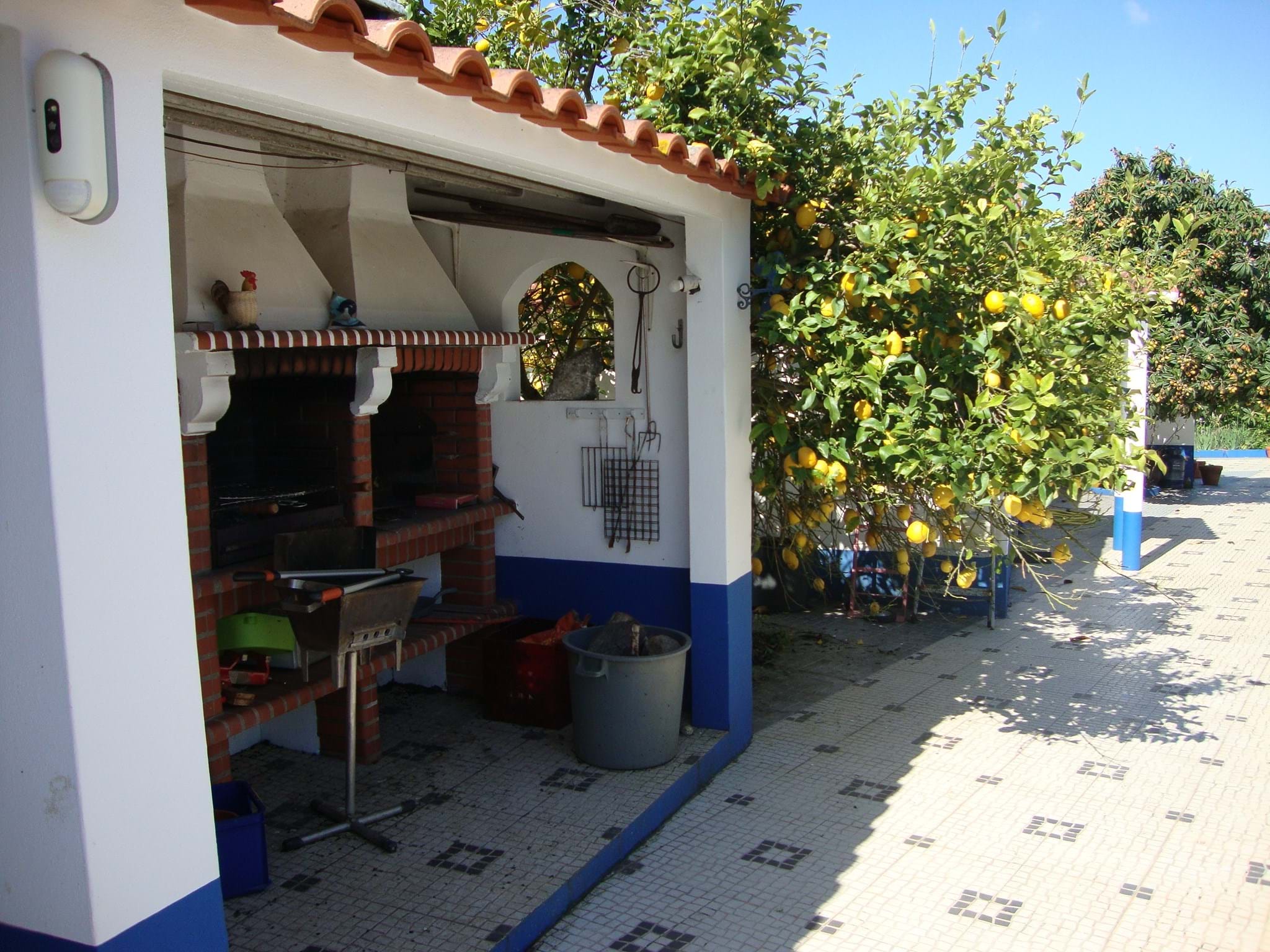 Sousel, Portalegre, 7470-155, PT, ,Residential,For Sale,1829576