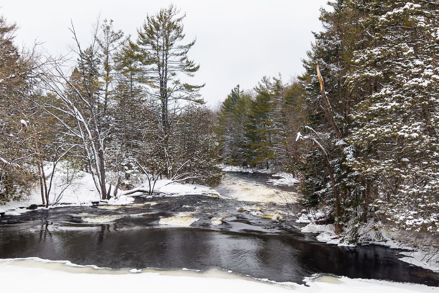  Serene Irondale River Cottage - 物件實景
