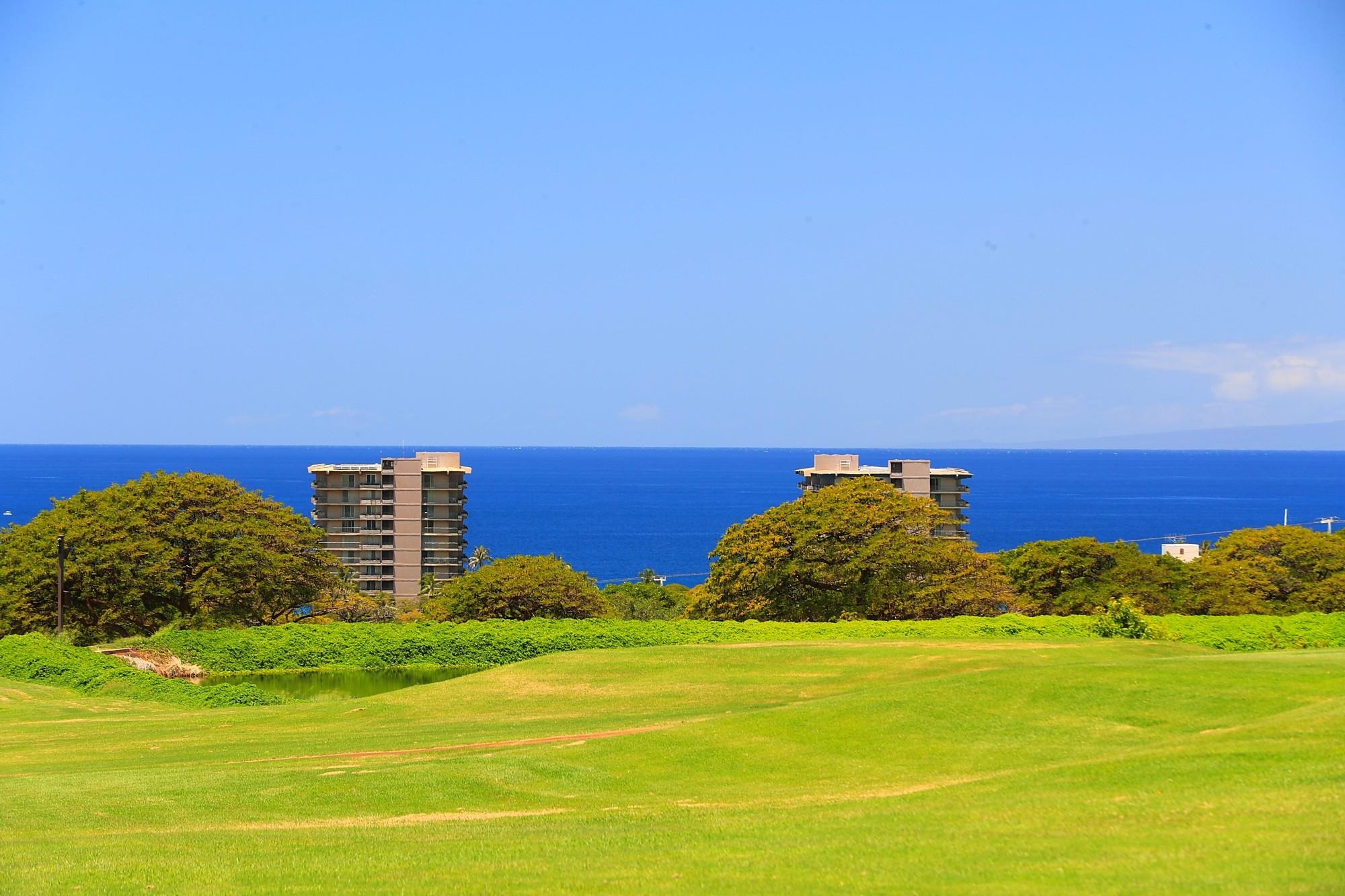 Lahaina, Hawaii, 96761, United States, ,Land,For Sale,1895971
