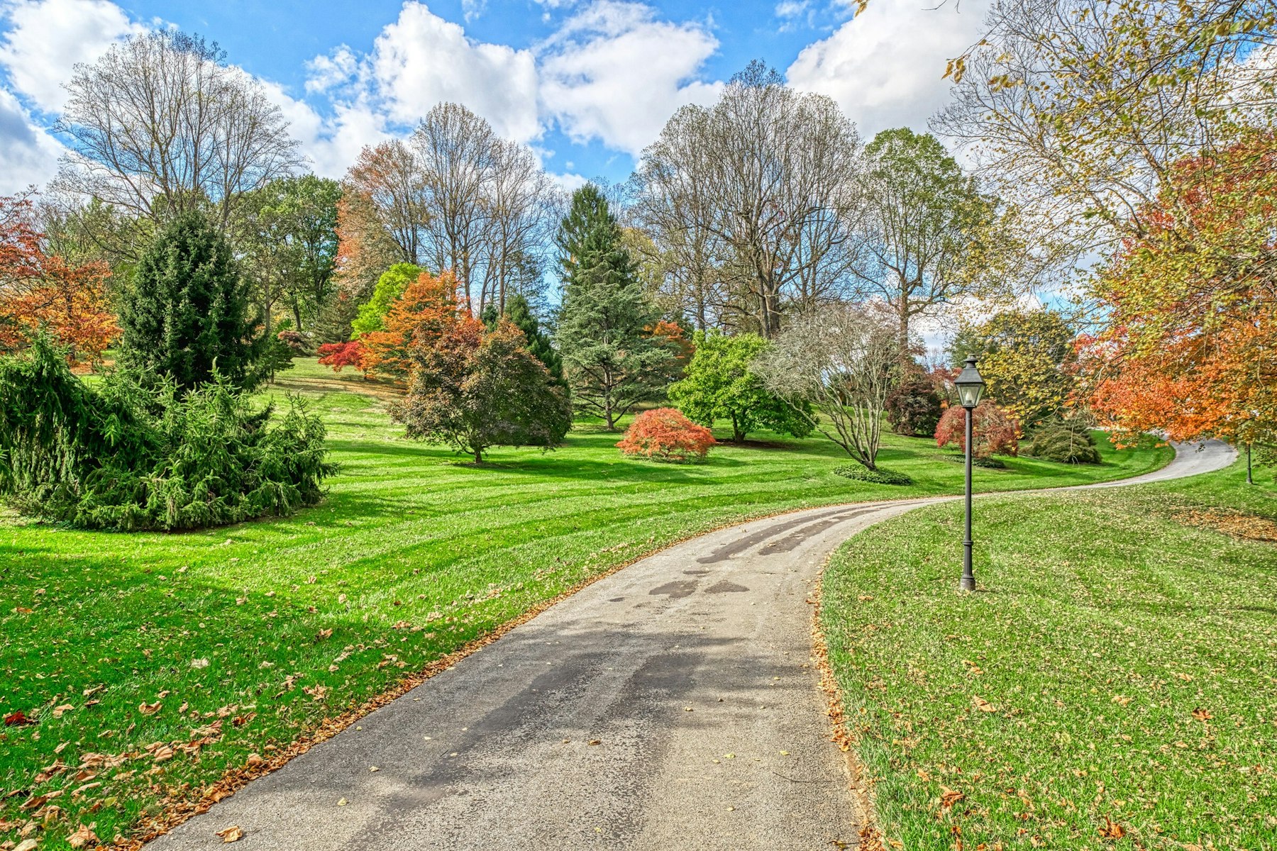  13223 Loyalty Road, Leesburg, VA 20176 - 物件實景