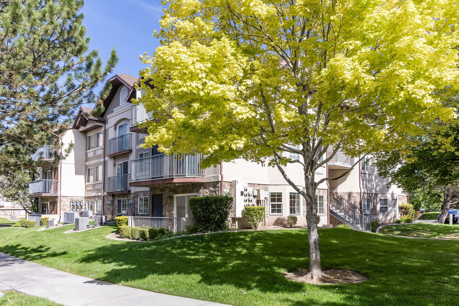  Quiet Main-Floor Living Near Utah Valley University & Orem Temple - 物件實景