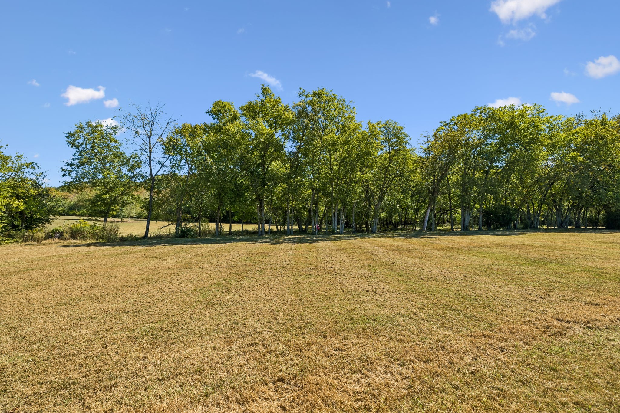  2216 Twin Peaks Ct, Spring Hill, TN, 37174 - 物件實景