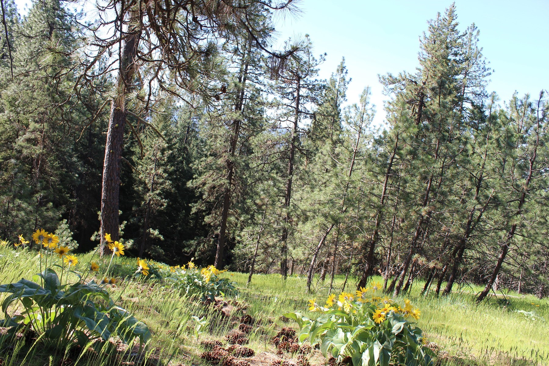  881 S Allen Rd and 2714 E Haven Dr Coeur d