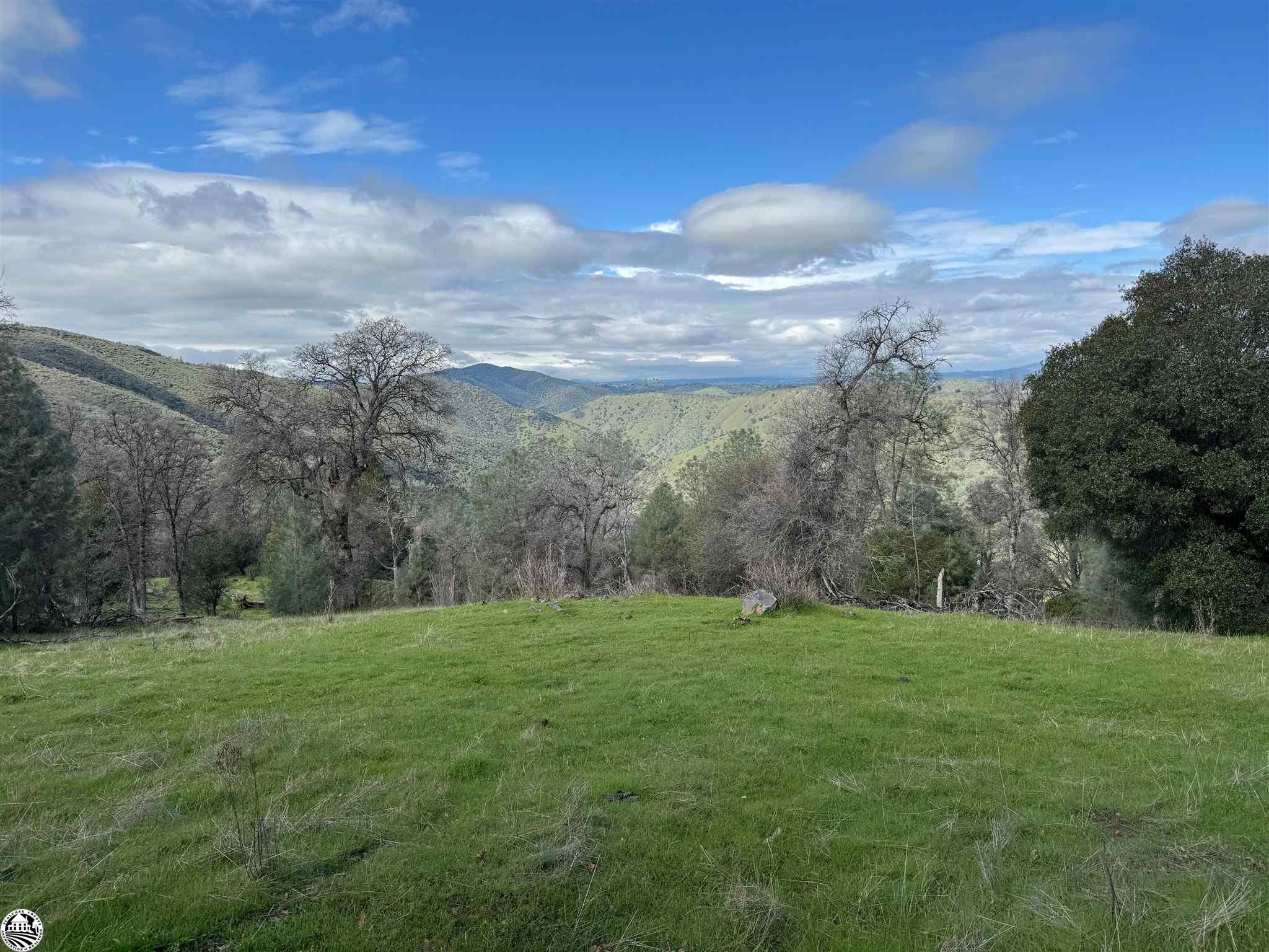 16551 Wards Ferry, Big Oak Flat, California, 95305, United States, 2 Bedrooms Bedrooms, ,2 BathroomsBathrooms,Residential,For Sale,16551 Wards Ferry,1619355