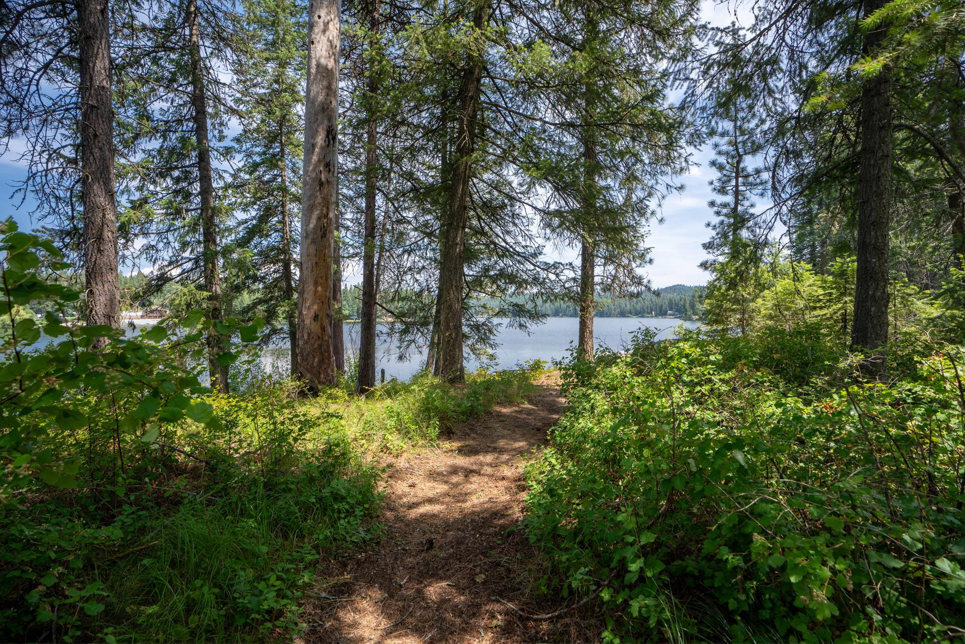 Newport, Washington, 99156, United States, ,Residential,For Sale,1869403