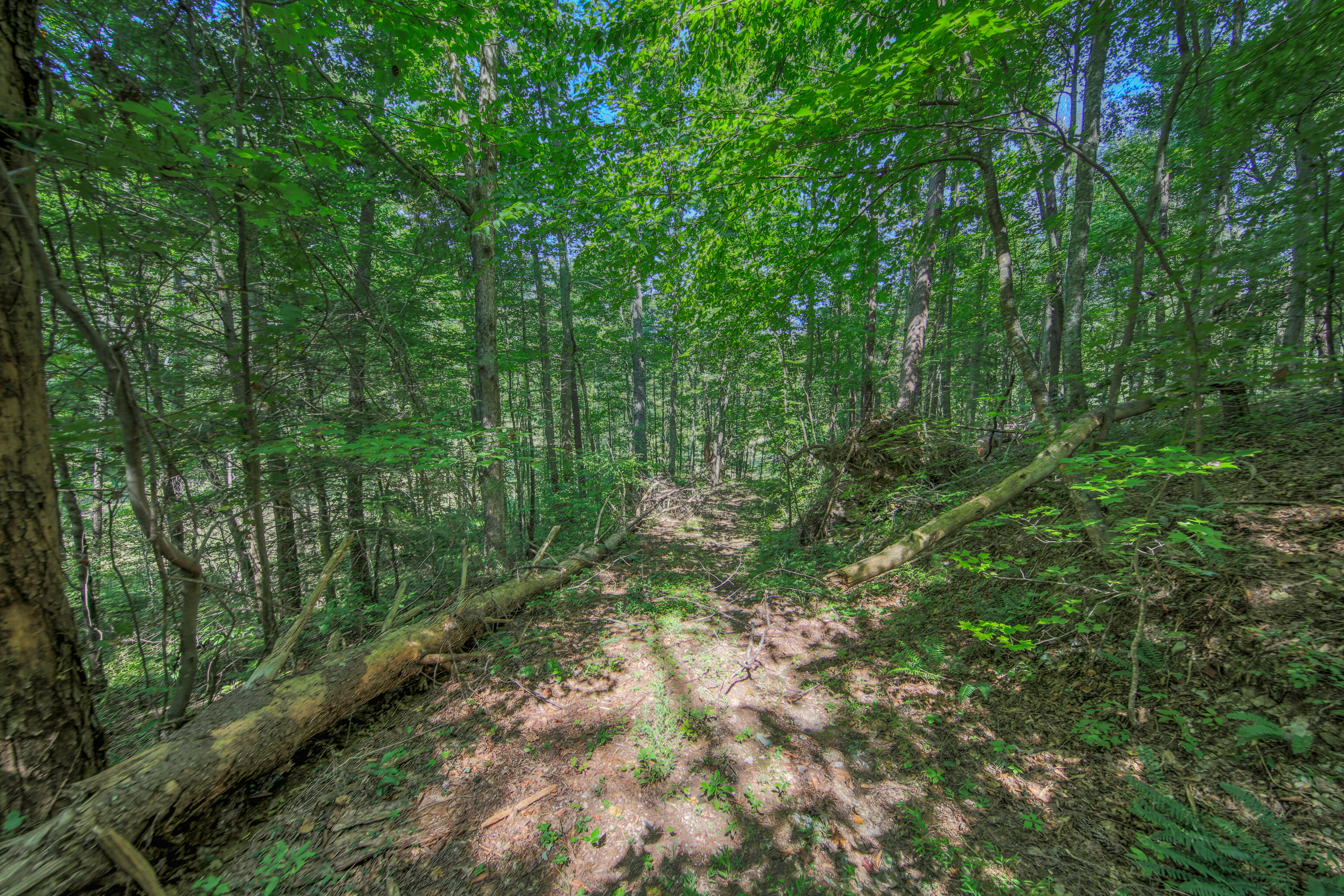  Belcher Loop, Tellico Plains, TN 37385 - 物件實景