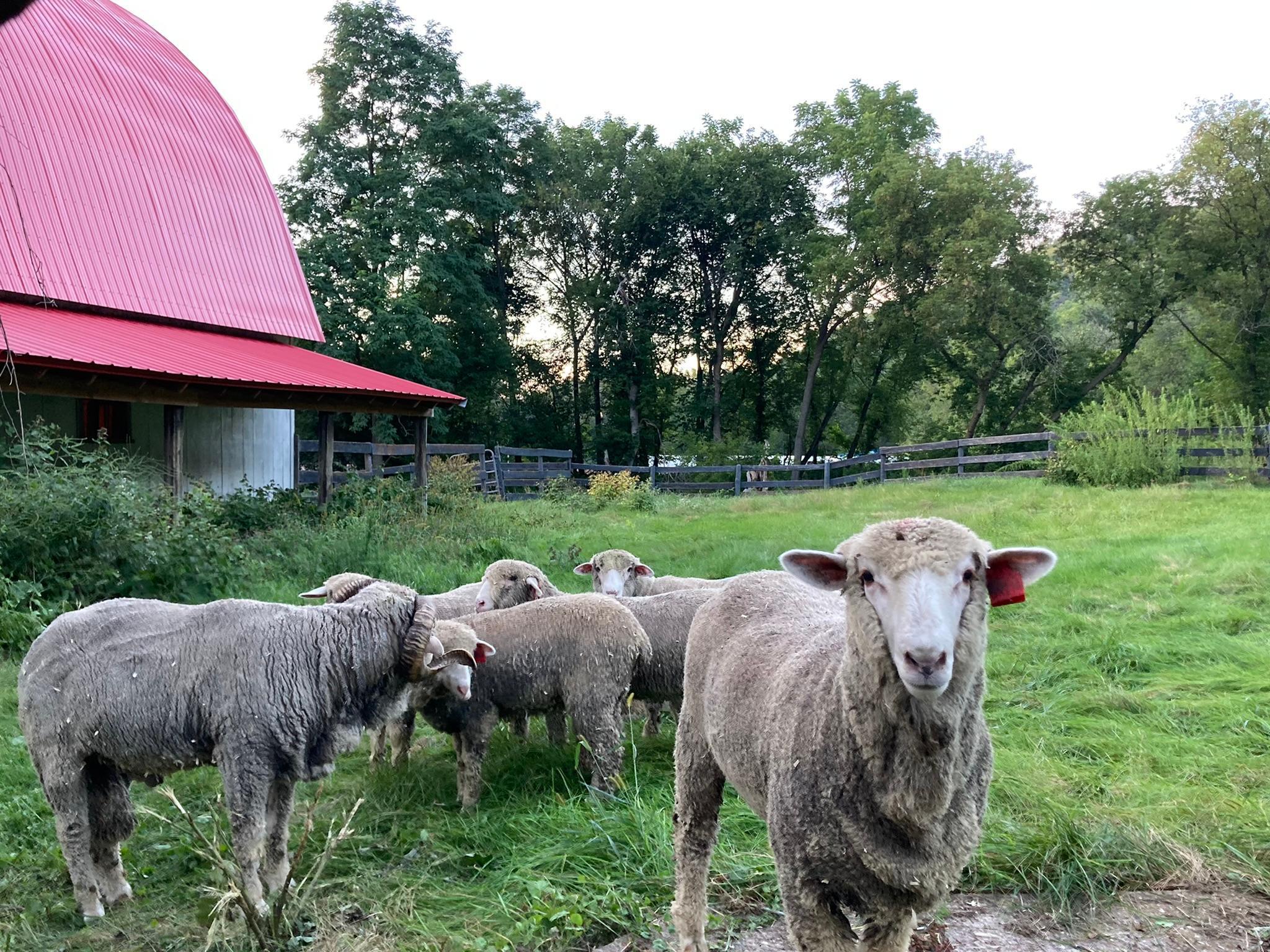 Winona, Minnesota, 55987, United States, 5 Bedrooms Bedrooms, ,2 BathroomsBathrooms,Residential,For Sale,2005788