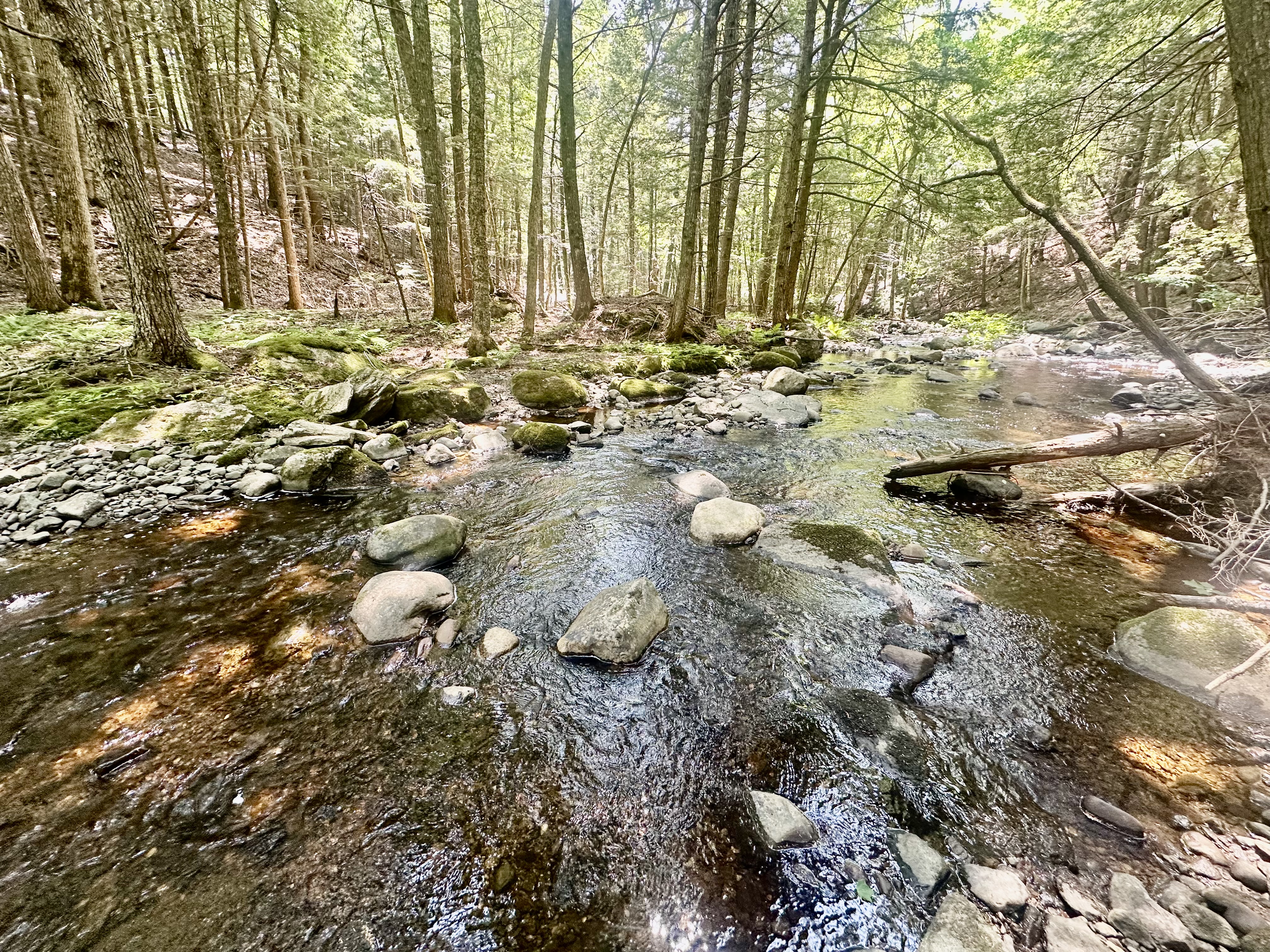 Palermo, Maine, 04354, United States, 3 Bedrooms Bedrooms, ,3 BathroomsBathrooms,Residential,For Sale,1885908