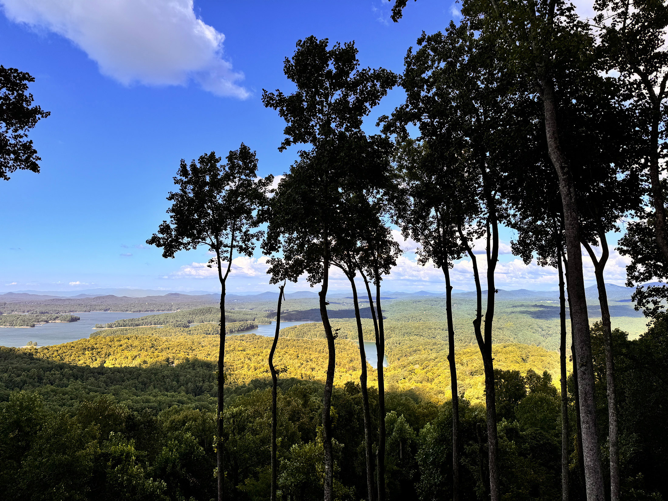  Contemporary Architectural Estate Overlooking Blue Ridge Lake - 物件實景