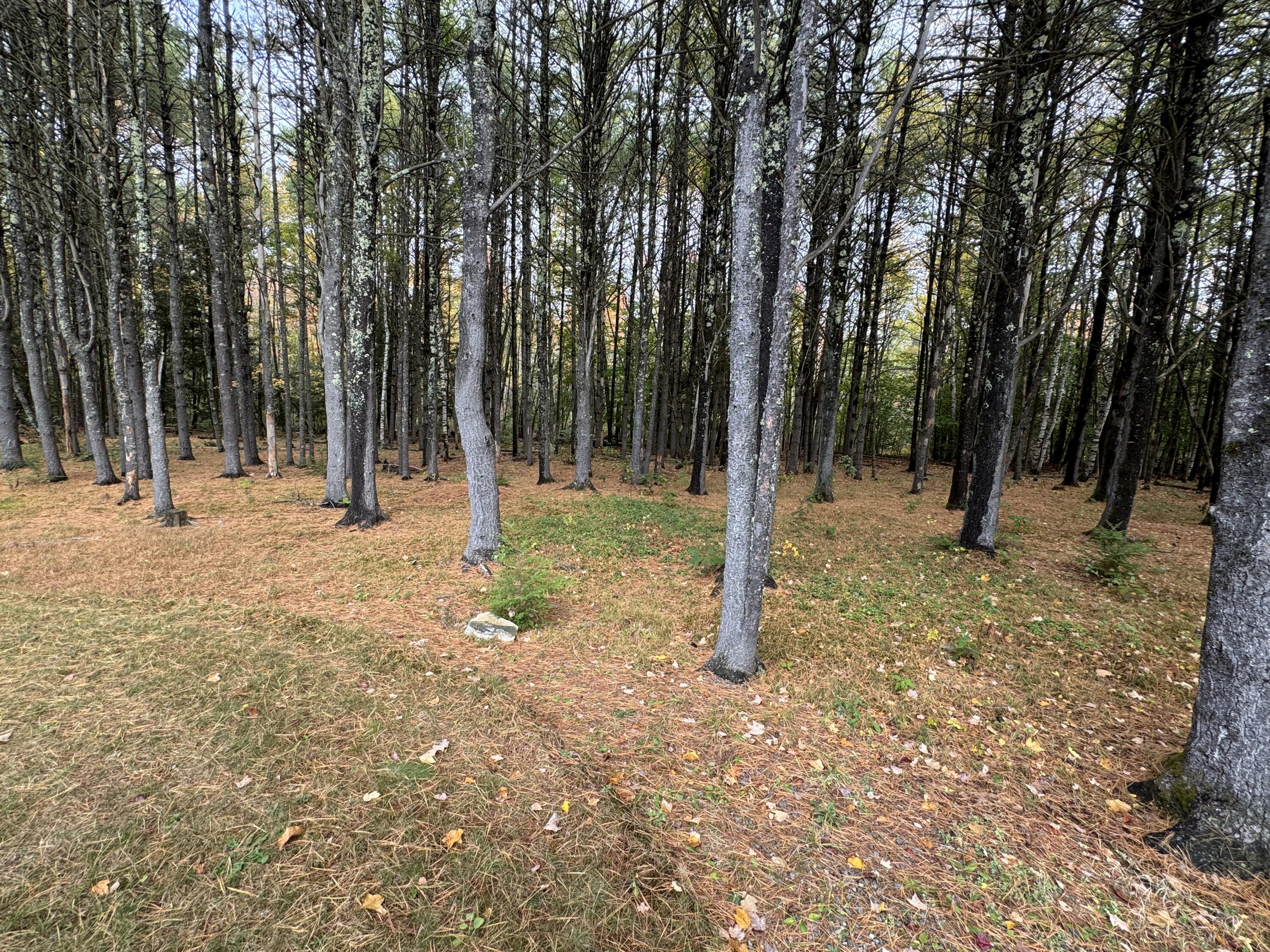 Acton, Maine, 04001, United States, 3 Bedrooms Bedrooms, ,2 BathroomsBathrooms,Residential,For Sale,1961670