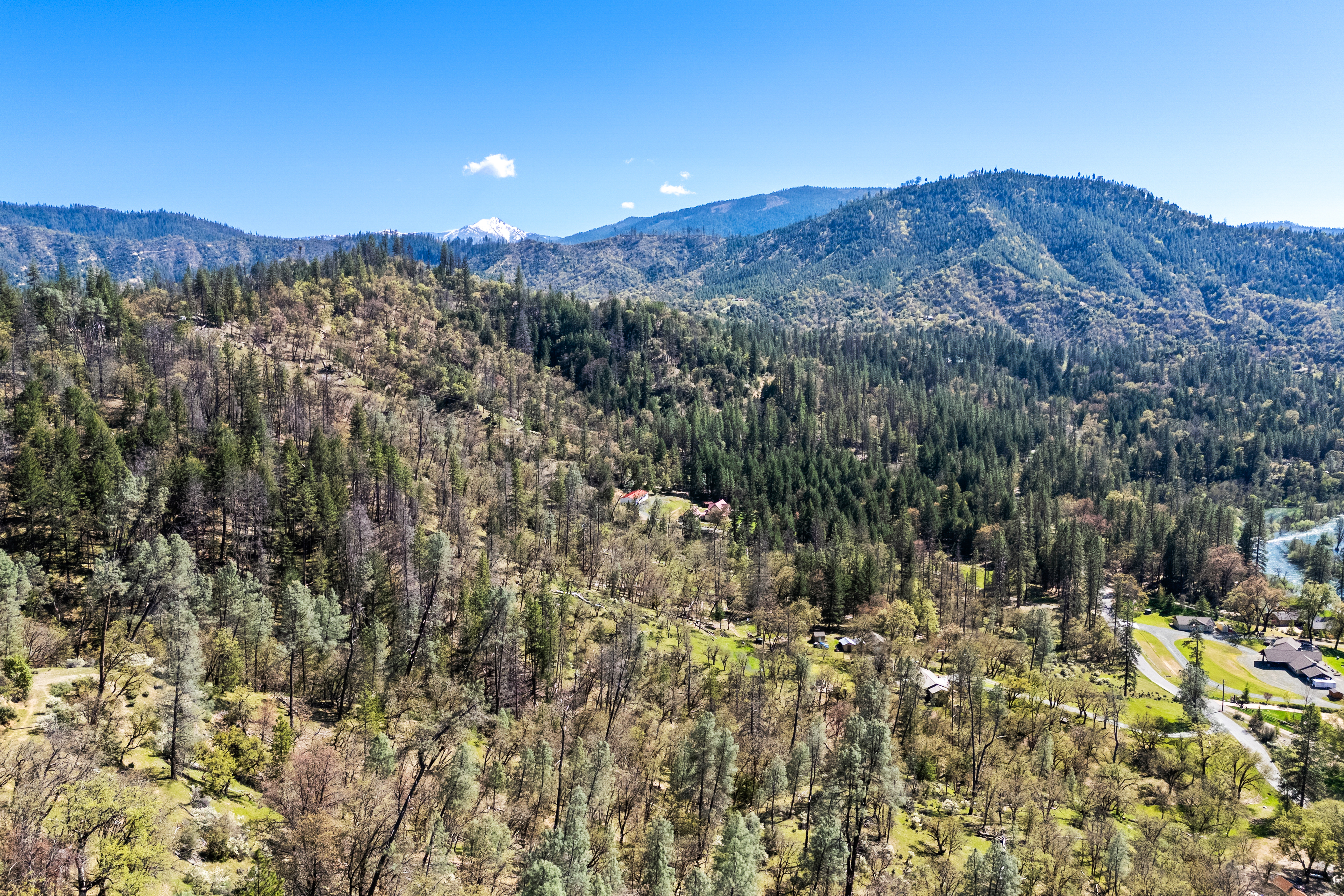  2995 Goose Ranch Road, Lewiston, CA 96052 - 物件實景