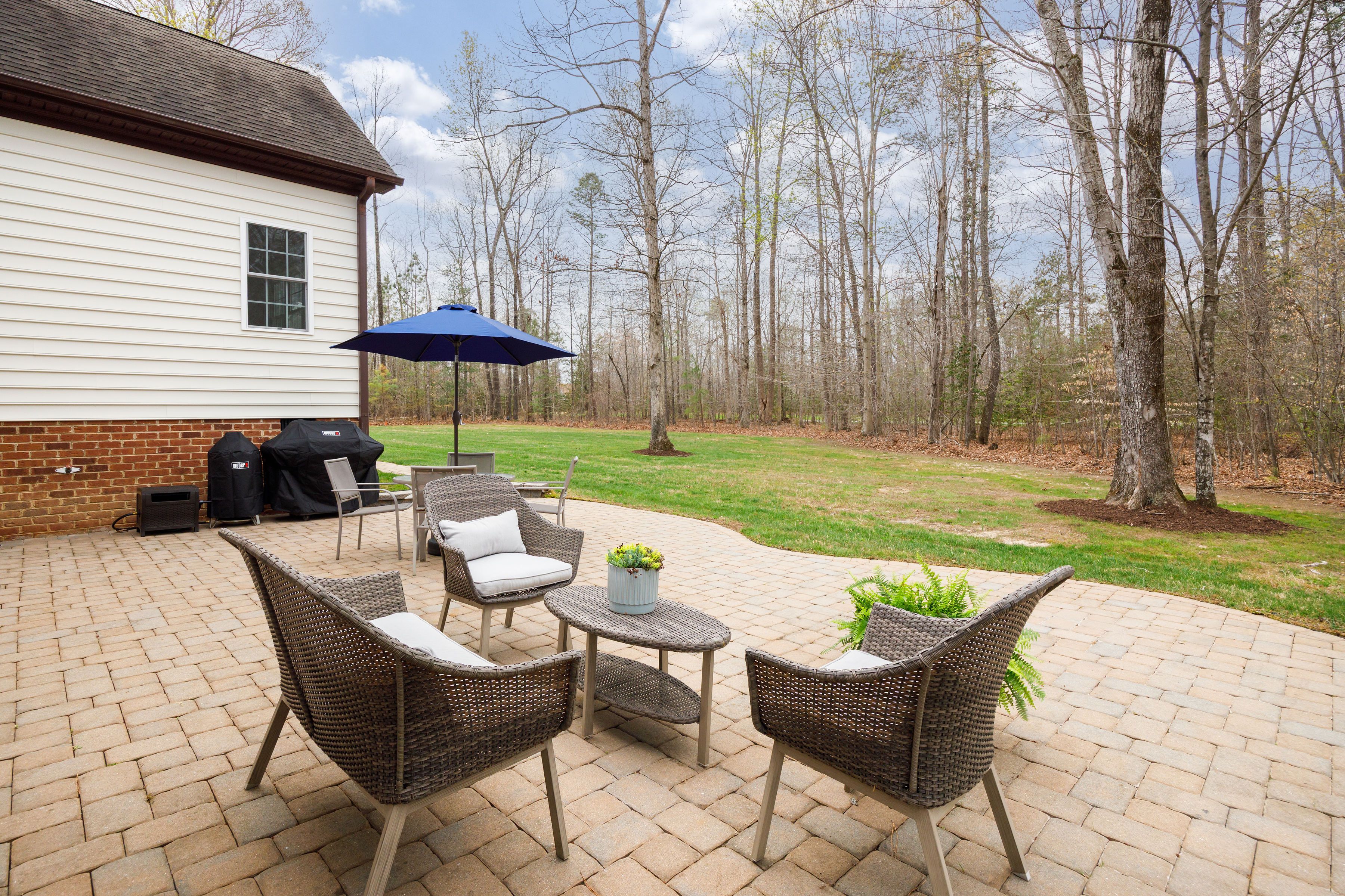  9305 Climbing Jasmine Way, Ashland, VA 23005 - 物件實景