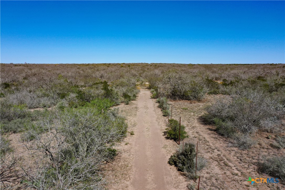 George West, Texas, 78022, United States, ,Land,For Sale,1738703