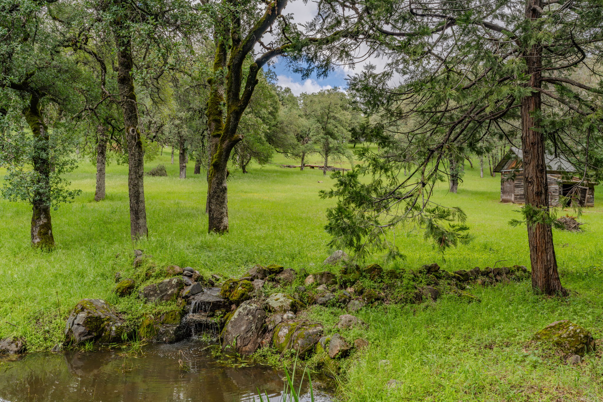  19351 Fiddletown Road, Fiddletown, CA 95629 - 物件實景