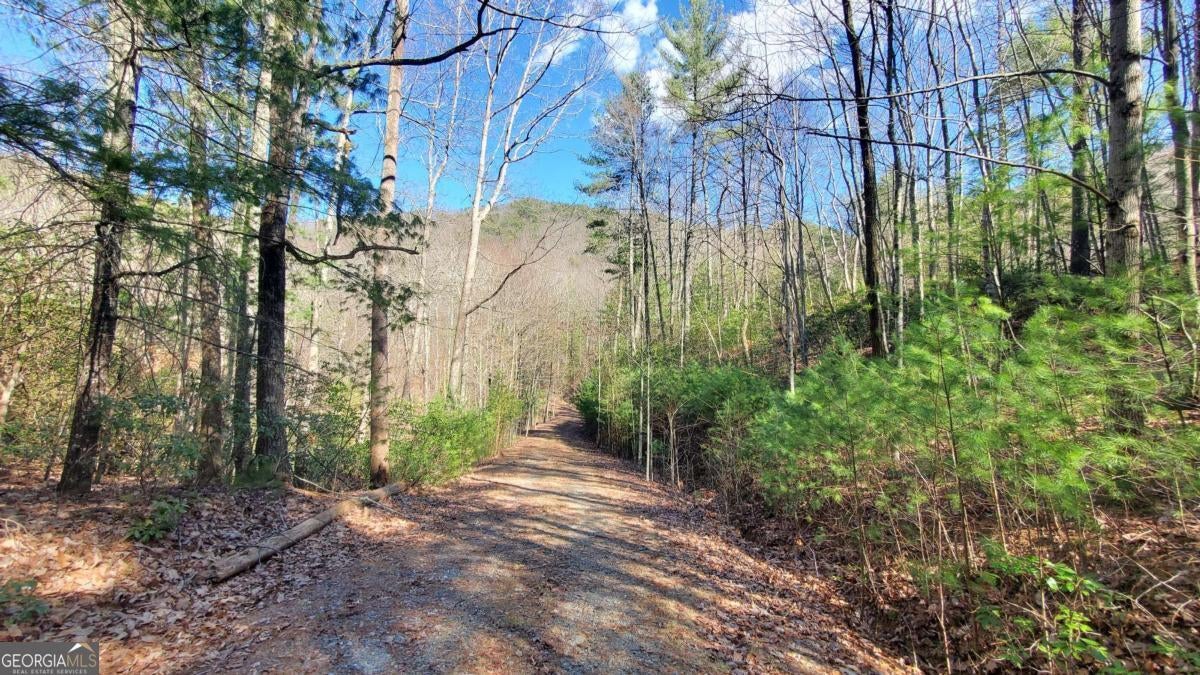 Cherry Log, Georgia, 30522, United States, ,Land,For Sale,1859131